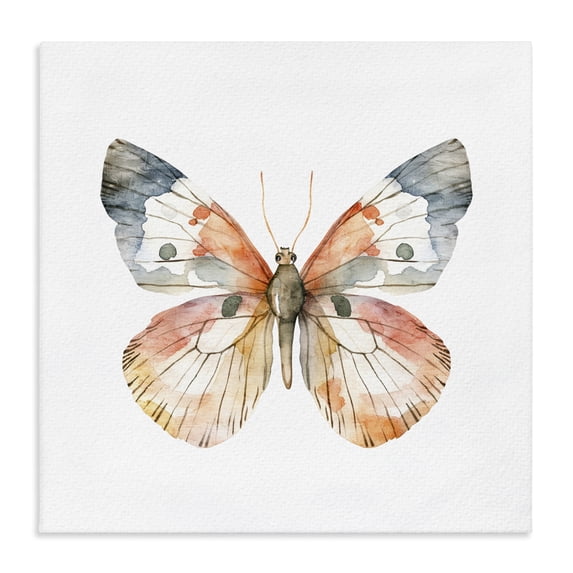 Stupell Industries Transitional Warm Watercolor Butterfly Canvas Art, 24 x 24, by Kim Allen