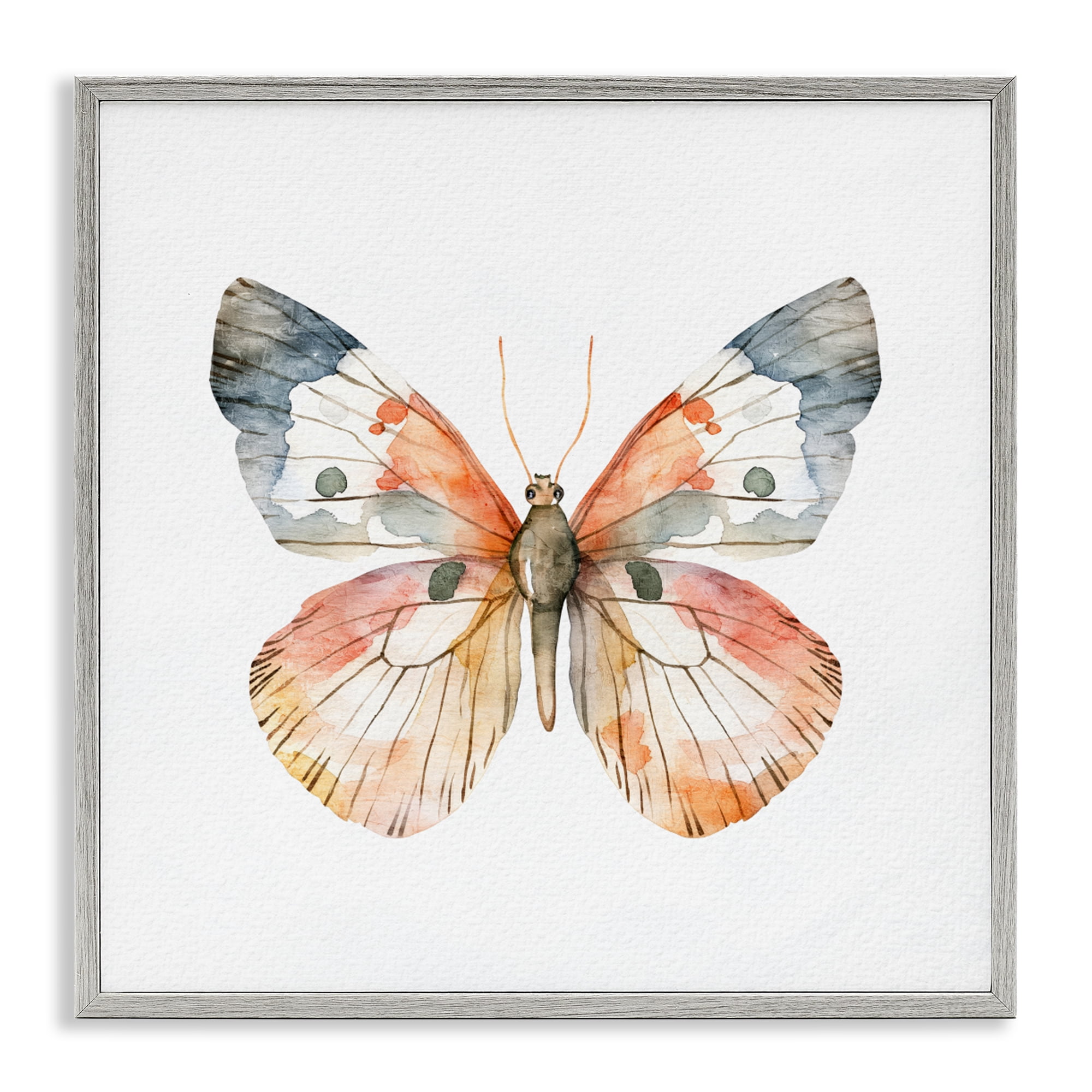 Stupell Industries Warm Watercolor Butterfly Gray Framed Giclee Art, design by Kim Allen