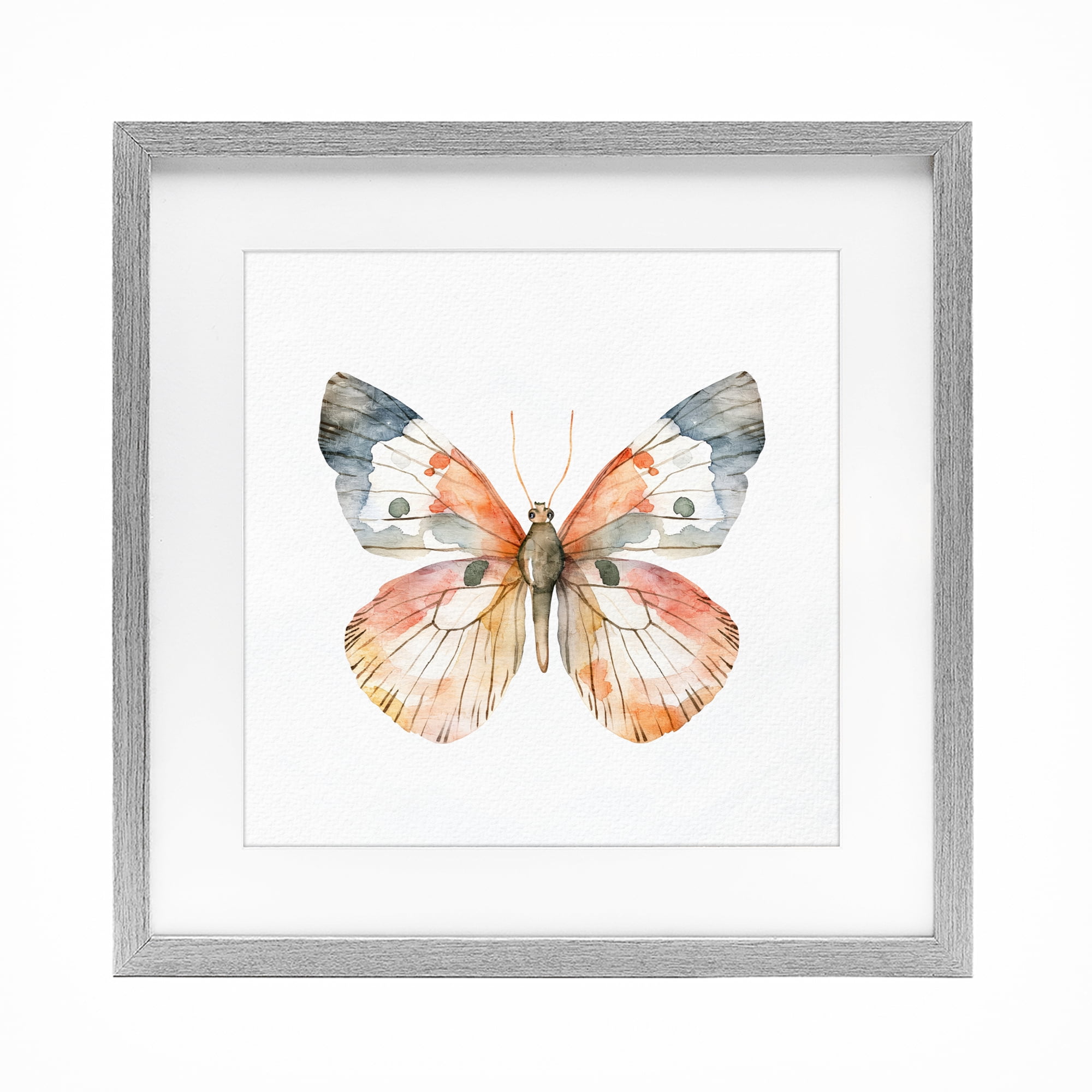 Stupell Industries Warm Watercolor Butterfly Gray Framed Print Under Glass, design by Kim Allen