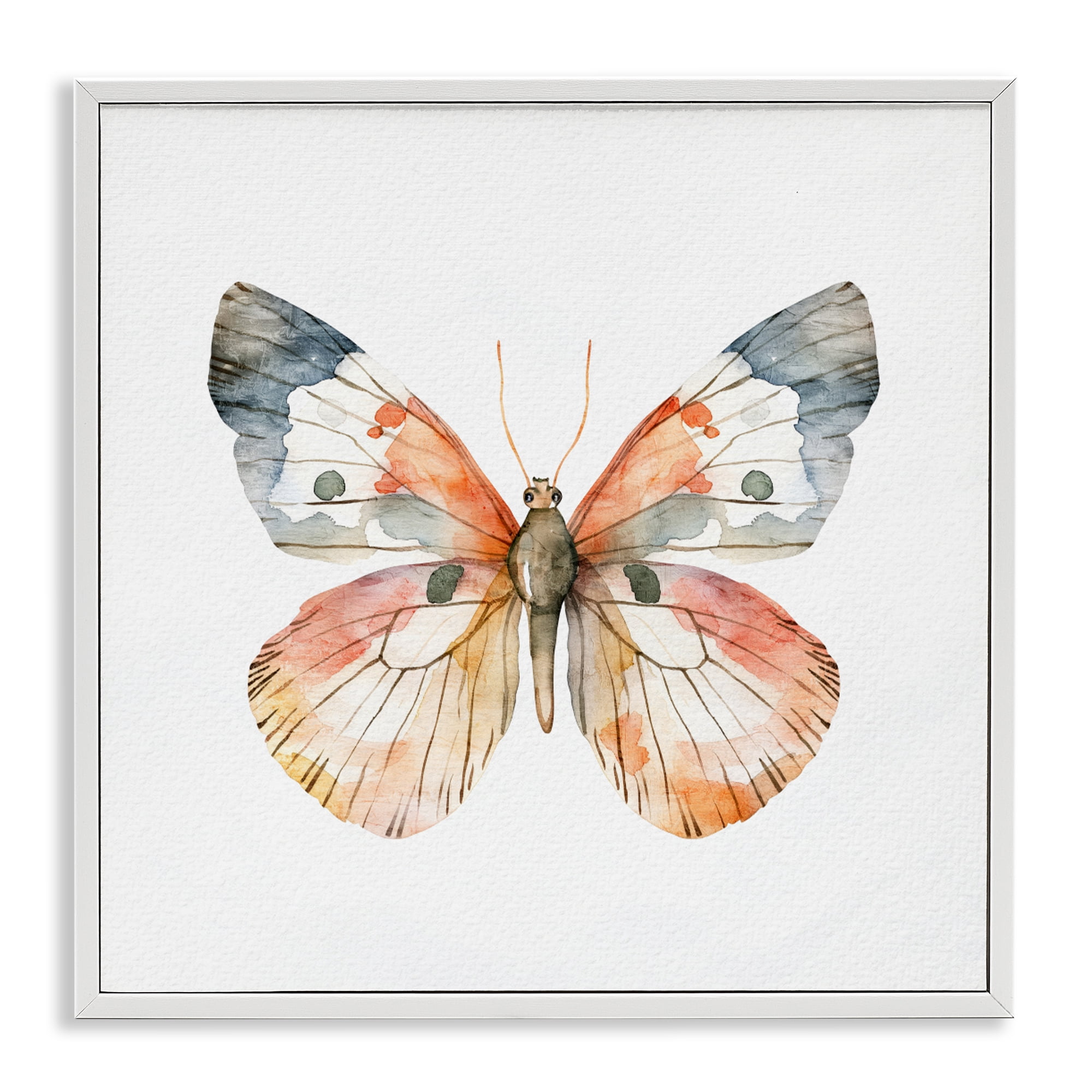 Stupell Industries Warm Watercolor Butterfly White Framed Giclee Art, design by Kim Allen
