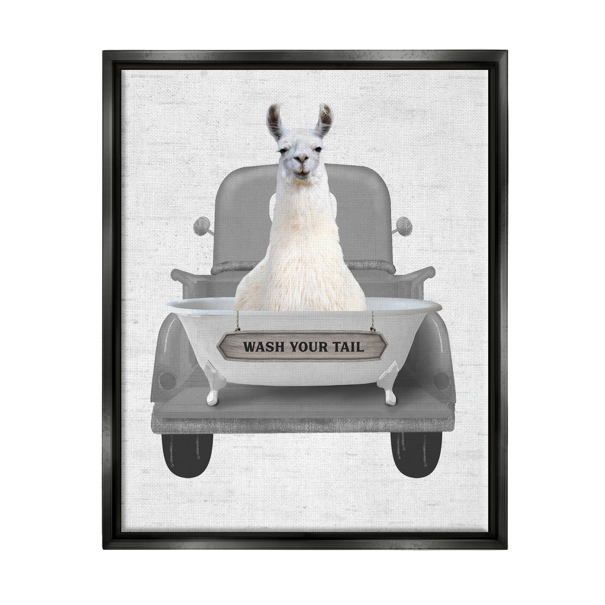Stupell Industries Wash Your Tail Llama Animals & Insects Painting Black Floater Framed Art Print Wall Art, 25 x 31