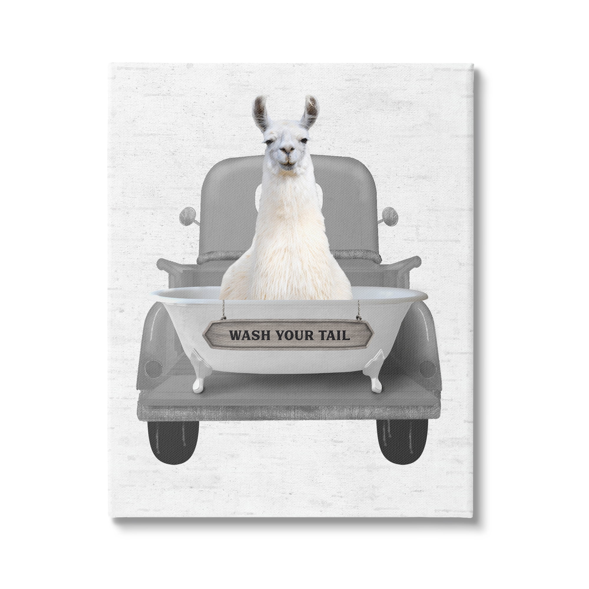 Stupell Industries Wash Your Tail Llama Animals & Insects Painting Gallery Wrapped Canvas Print Wall Art, 16 x 20