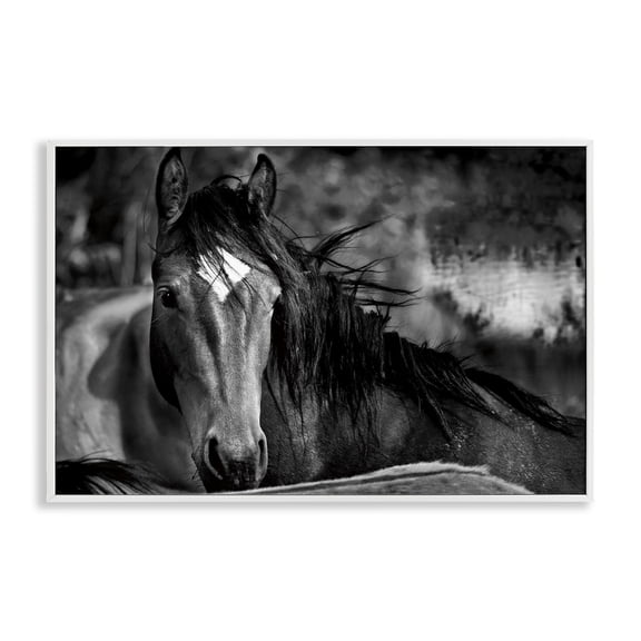 Stupell Industries Watchful Presence Horse White Framed Giclee Art design by Wendy Caro, 20 x 30