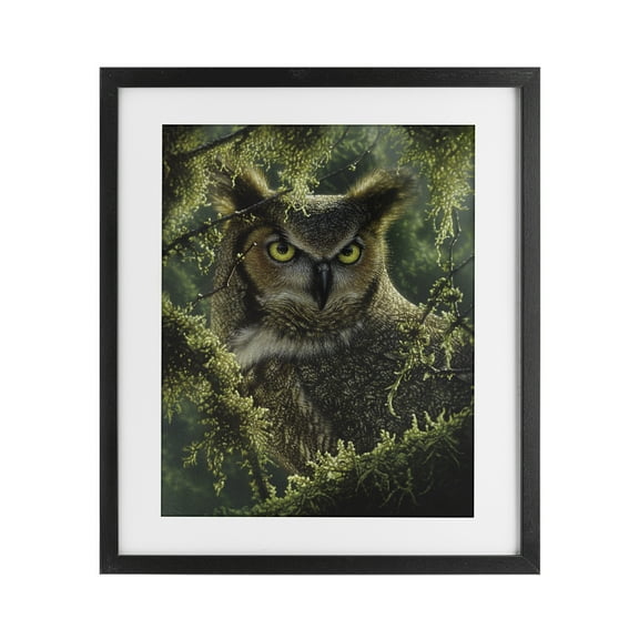 Stupell Industries Watching And Waiting Owl Black Framed Print Under Glass design by Collin Bogle, 16 x 13