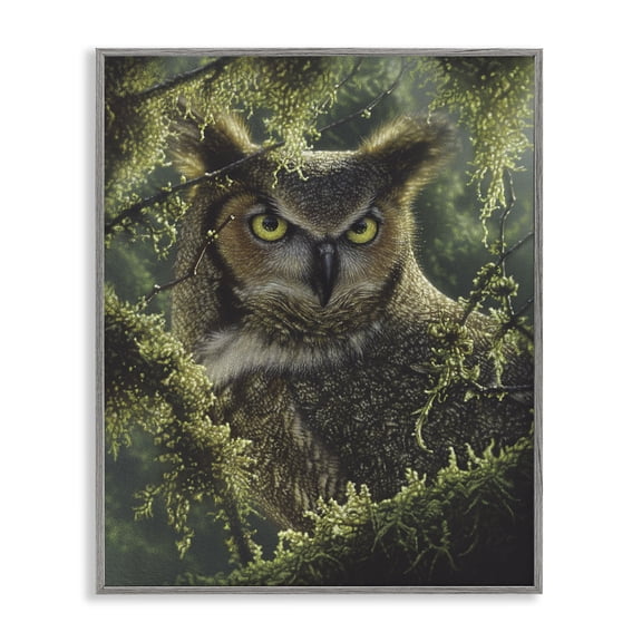 Stupell Industries Watching And Waiting Owl Gray Framed Giclee Art design by Collin Bogle, 20 x 16