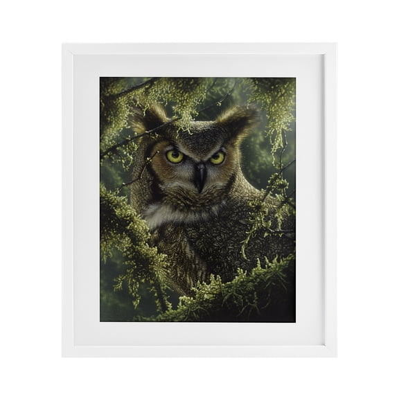 Stupell Industries Watching And Waiting Owl White Framed Print Under Glass design by Collin Bogle, 16 x 13
