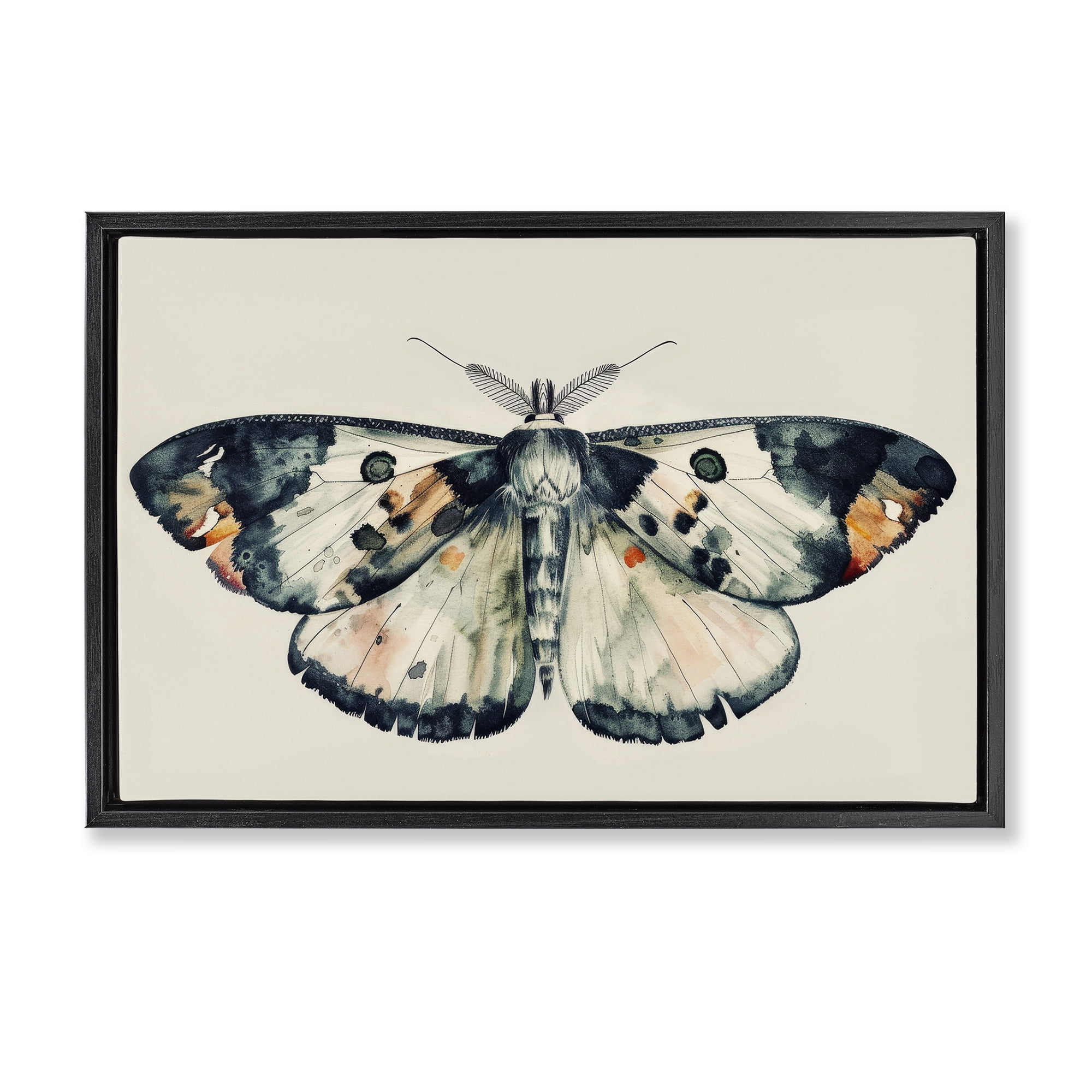Stupell Industries Watercolor Black Trimmed Moth Animals Painting Black Floater Framed Canvas Art Print Wall Art, 25 x 17