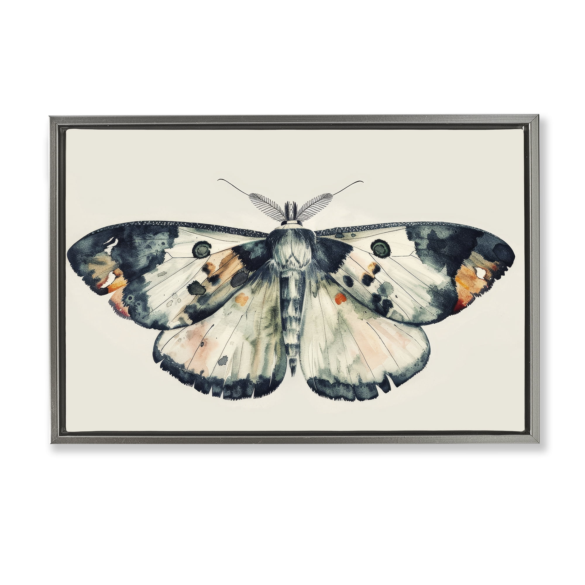 Stupell Industries Watercolor Black Trimmed Moth Animals Painting Gray Floater Framed Canvas Art Print Wall Art, 31 x 21