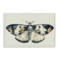 thumbnail image 1 of Stupell Industries Watercolor Black Trimmed Moth Animals Painting White Framed Art Print Wall Art, 30 x 20, 1 of 2