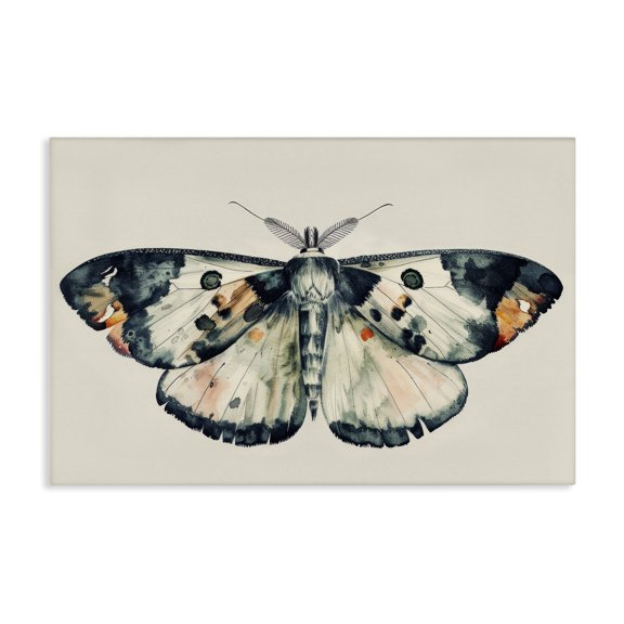 Stupell Industries Watercolor Black Trimmed Moth Animals Painting Wrapped Canvas Art Print Wall Art, 24 x 16