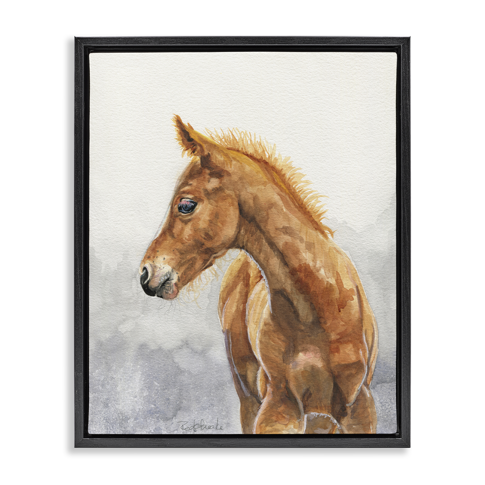Stupell Industries Watercolor Brown Foal Animals Painting Black Floater Framed Canvas Art Print Wall Art, 25 x 31