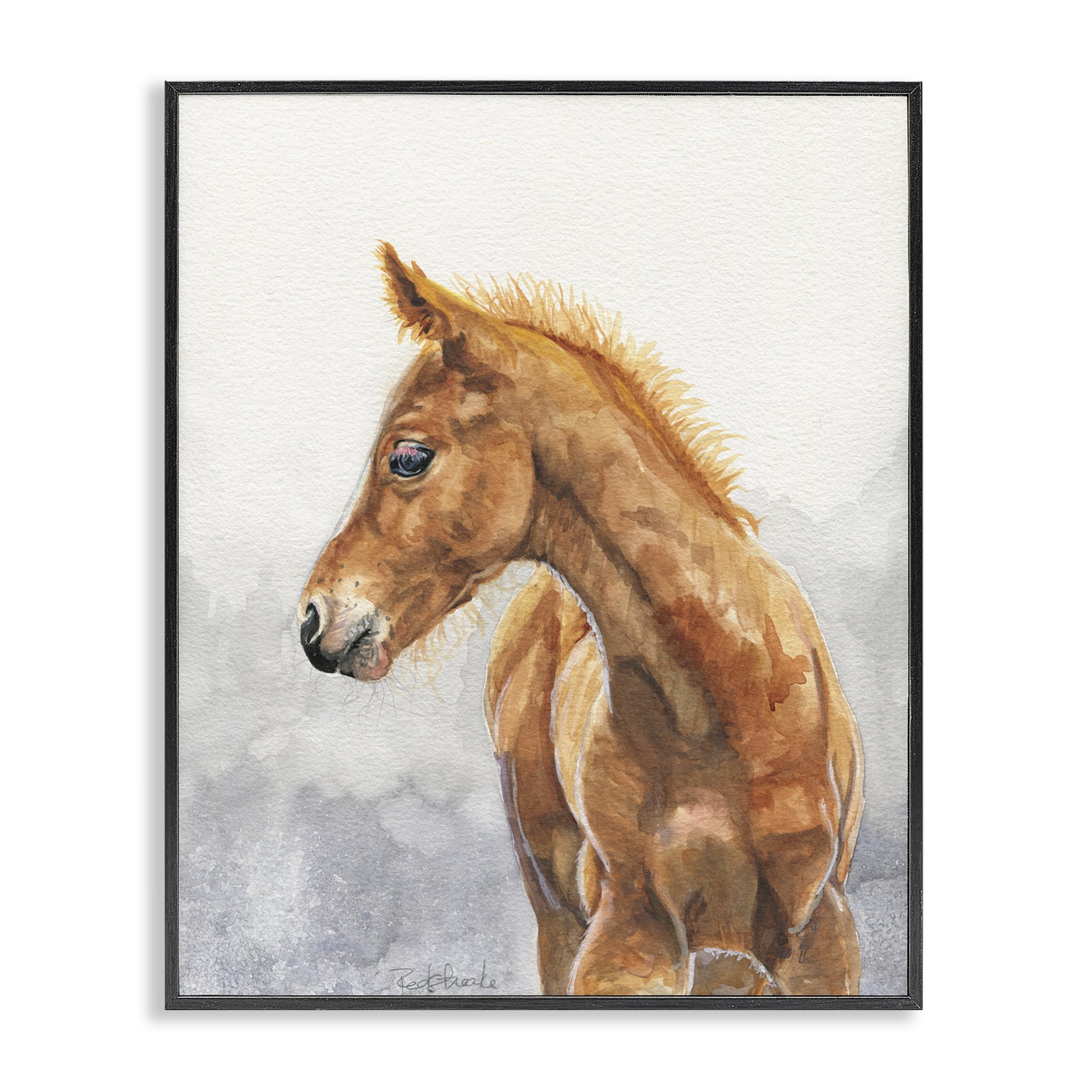 Stupell Industries Watercolor Brown Foal Animals Painting Black Framed Art Print Wall Art, 16 x 20