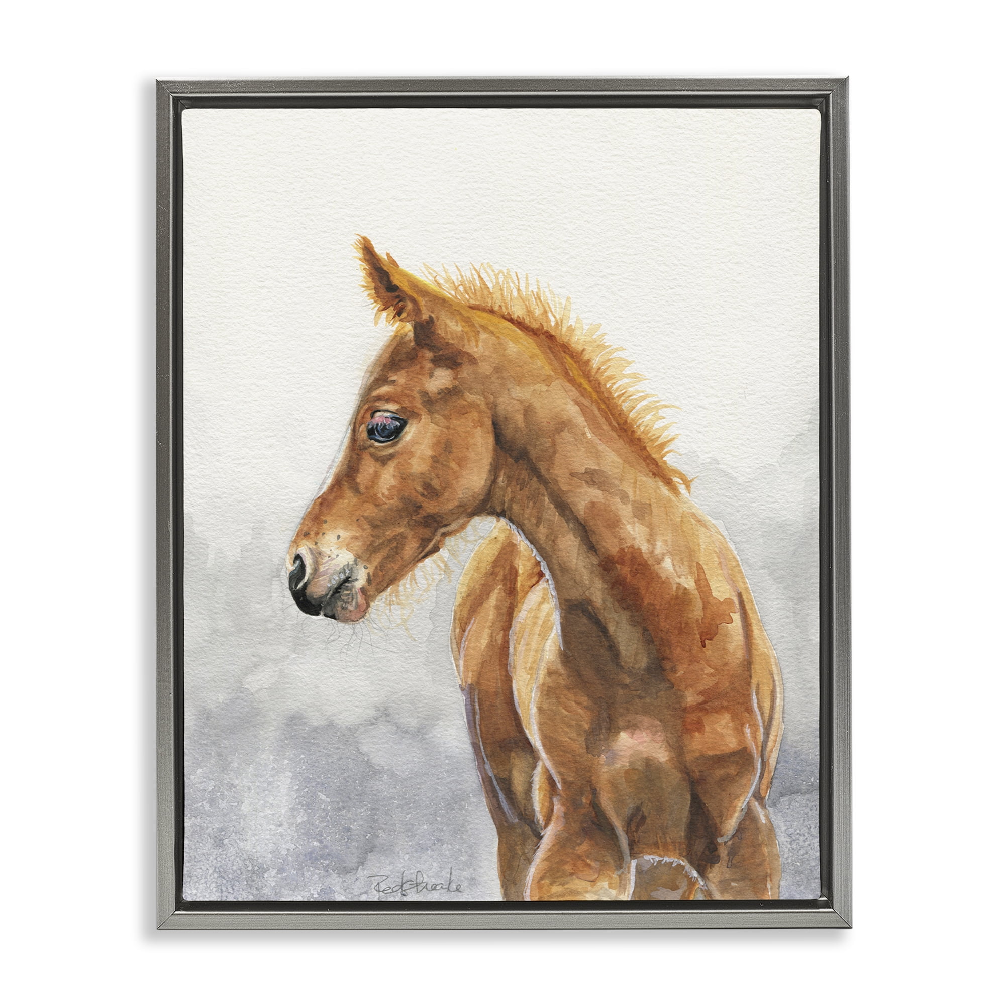 Stupell Industries Watercolor Brown Foal Animals Painting Gray Floater Framed Canvas Art Print Wall Art, 25 x 31