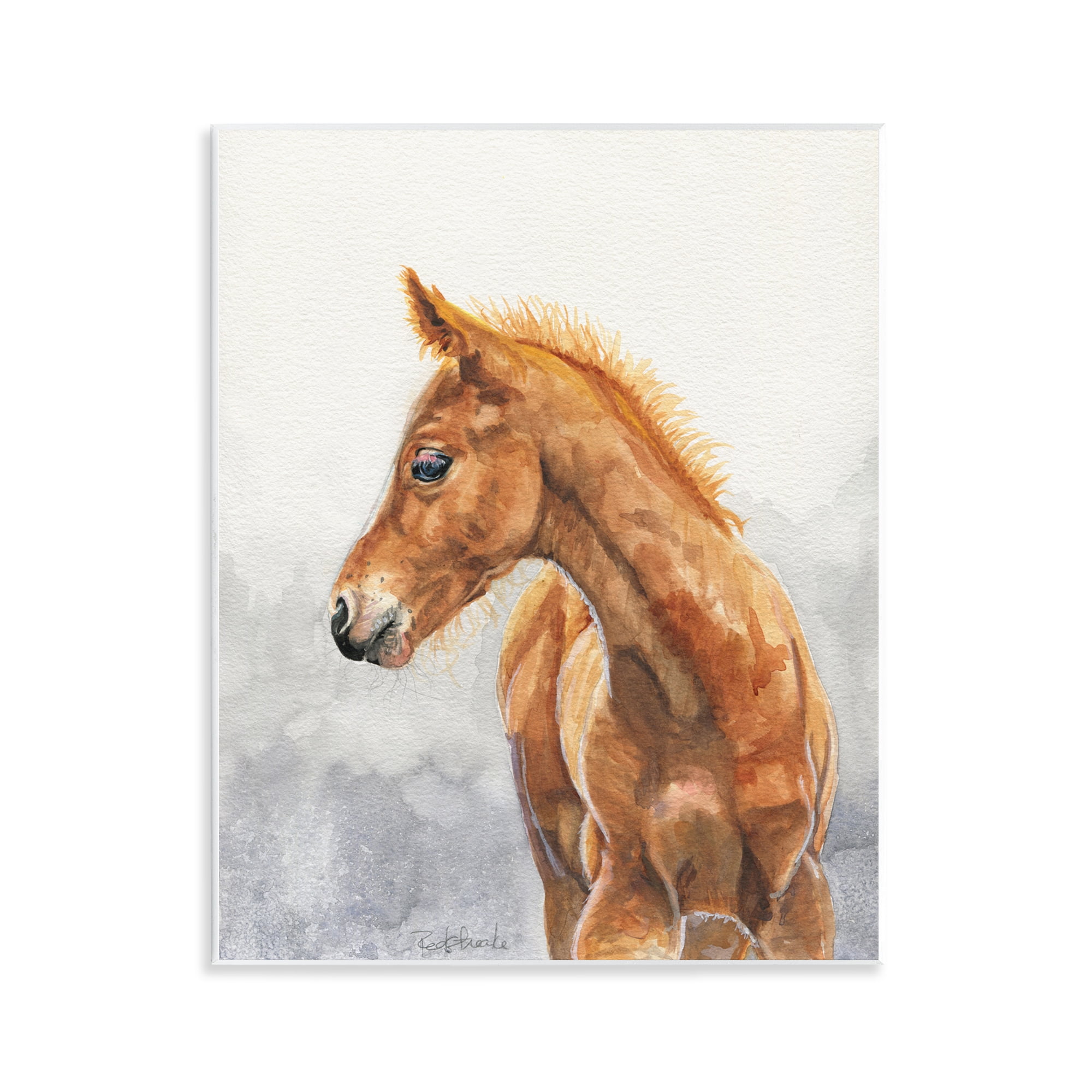 Stupell Industries Watercolor Brown Foal Animals Painting Unframed Art Print Wall Art, 11 x 14