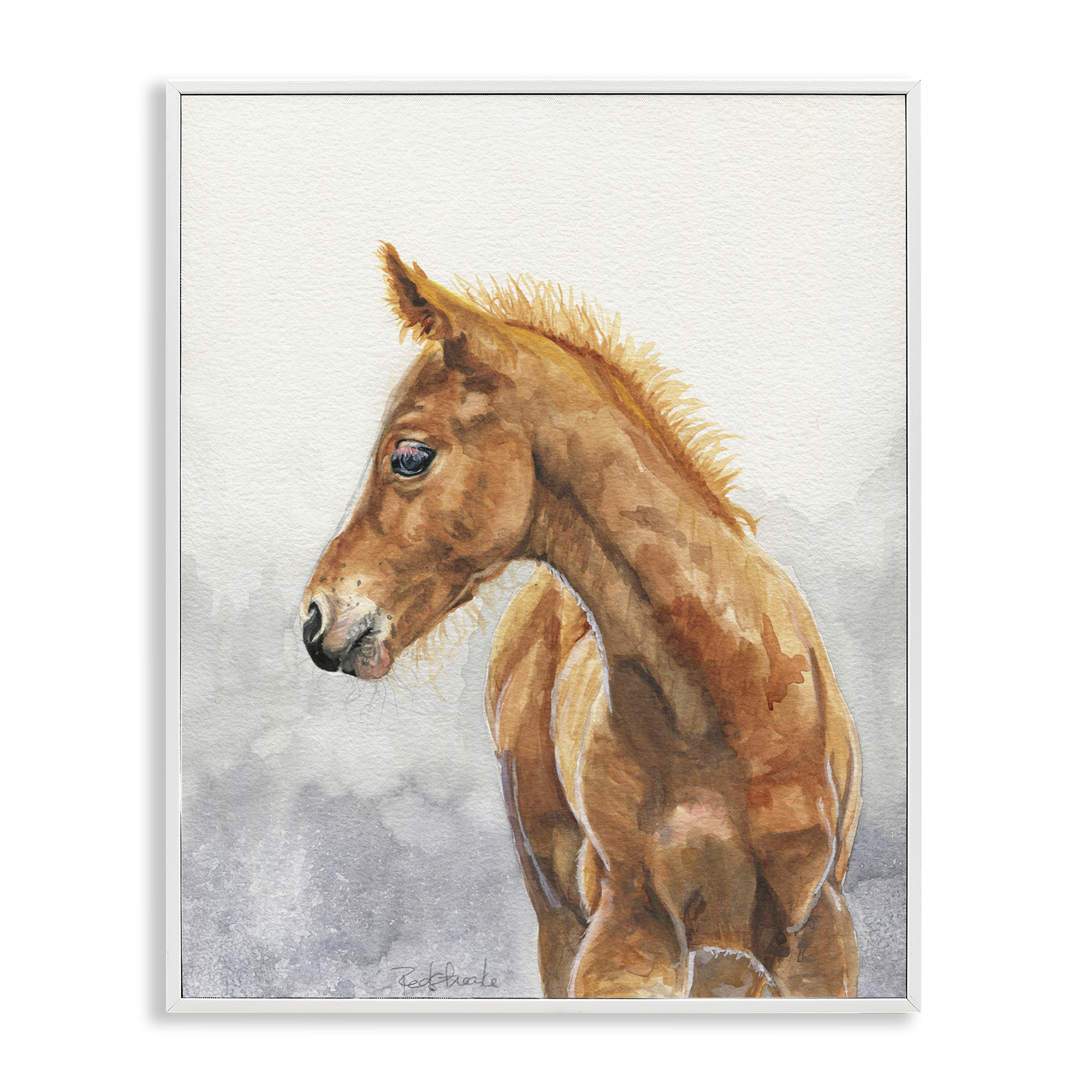 Stupell Industries Watercolor Brown Foal Animals Painting White Framed Art Print Wall Art, 16 x 20