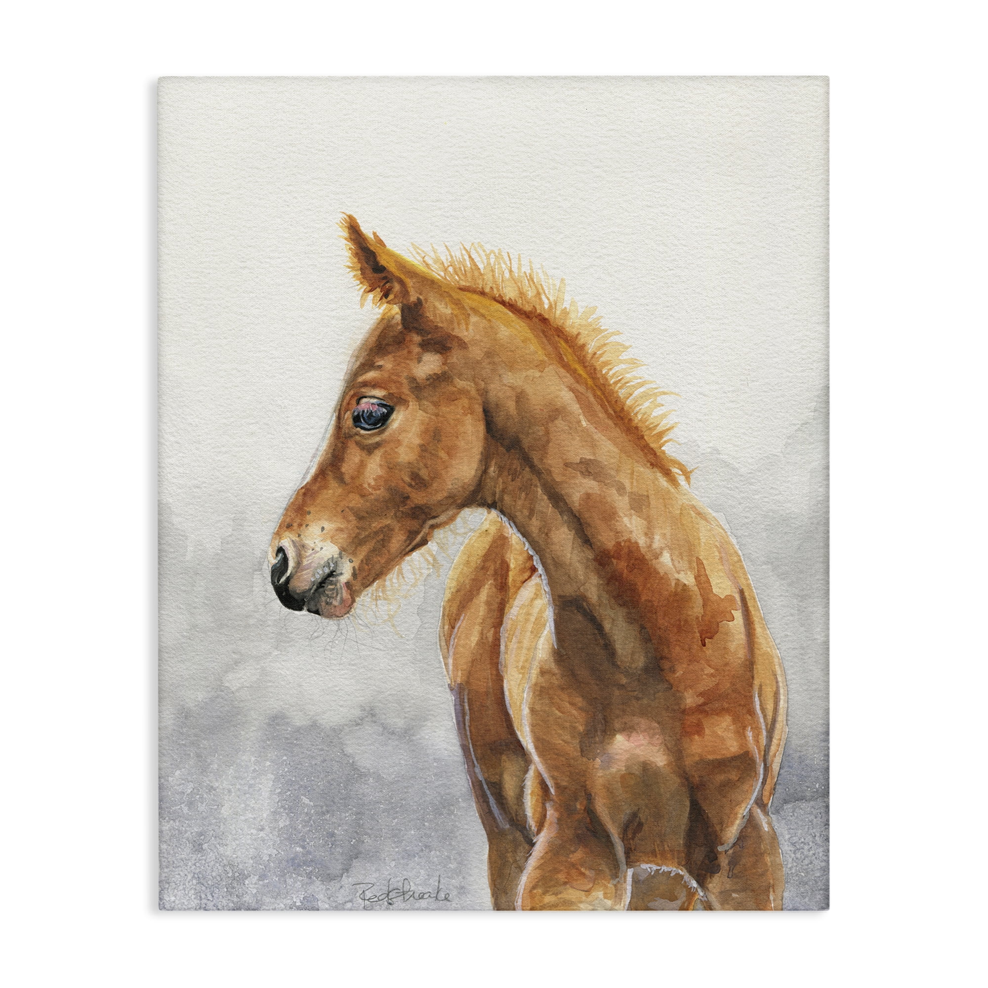 Stupell Industries Watercolor Brown Foal Animals Painting Wrapped Canvas Art Print Wall Art, 36 x 48