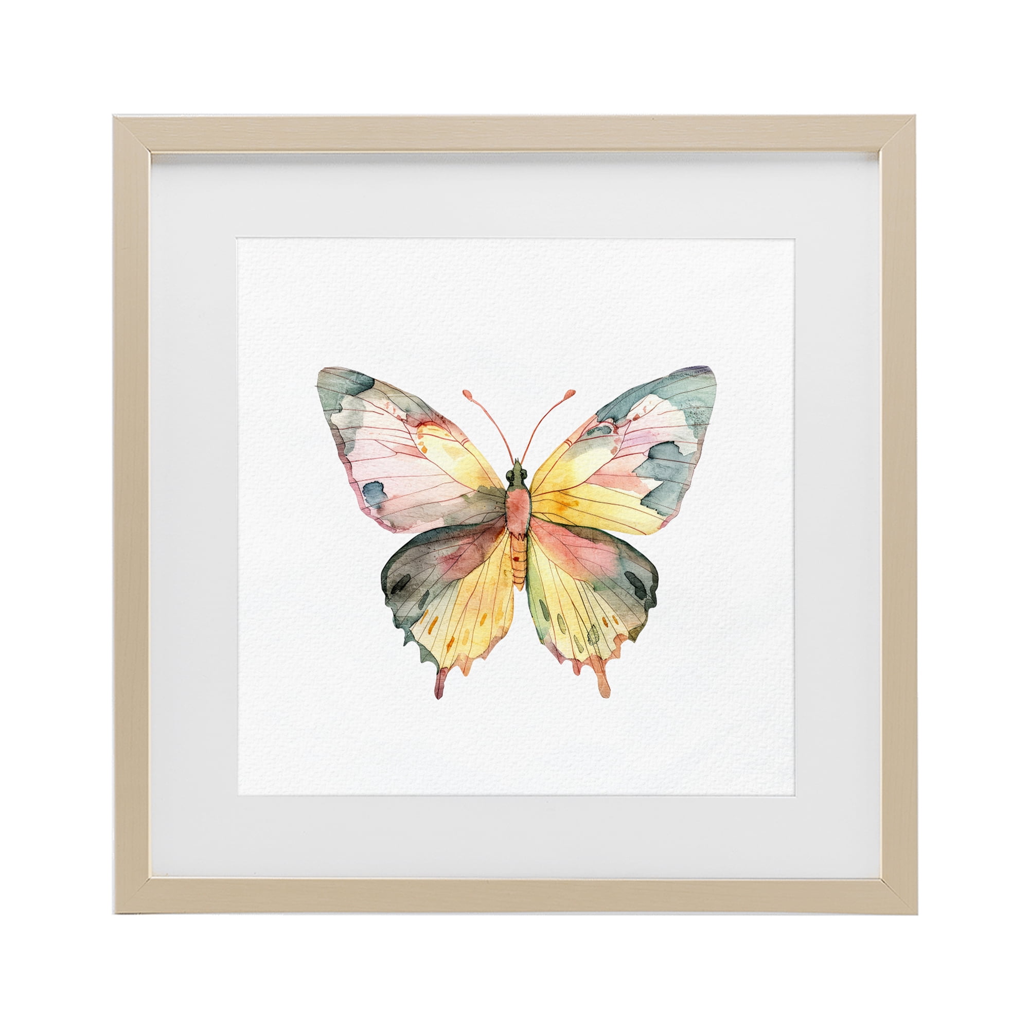 Stupell Industries Watercolor Butterfly Subtlety Birch Framed Print Under Glass, design by Kim Allen
