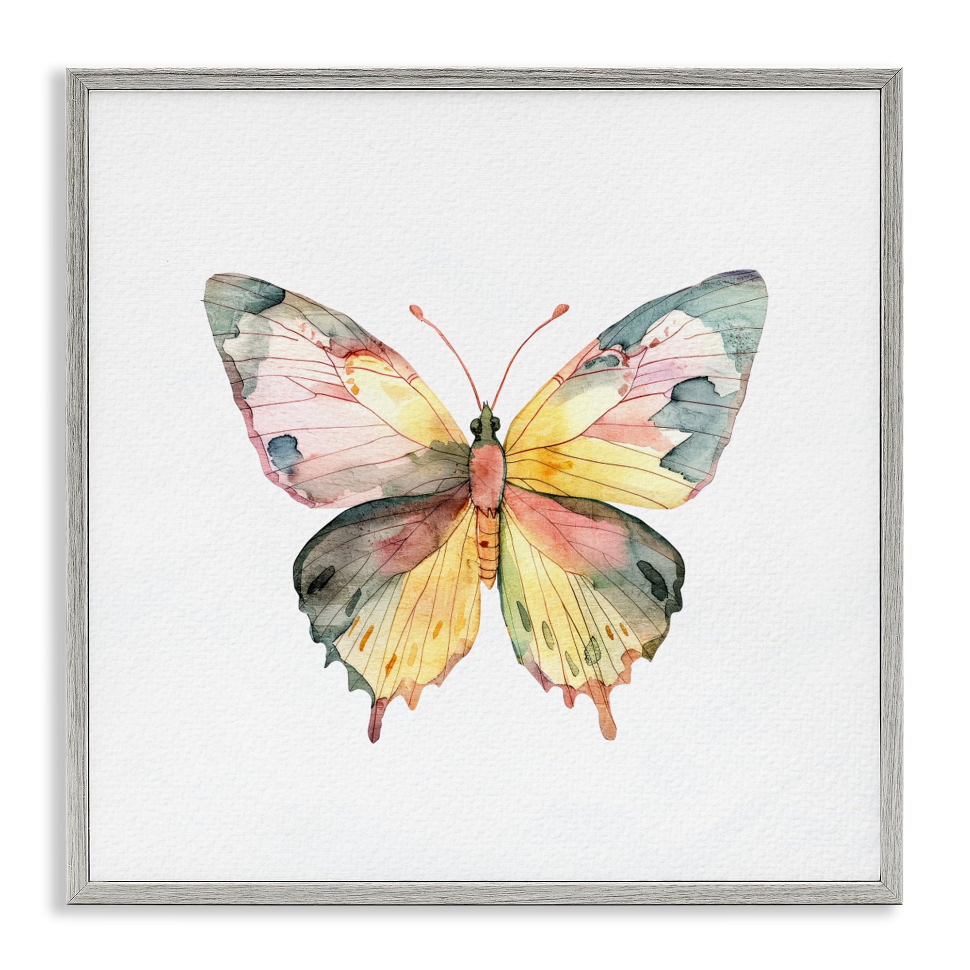 Stupell Industries Watercolor Butterfly Subtlety Gray Framed Giclee Art, design by Kim Allen