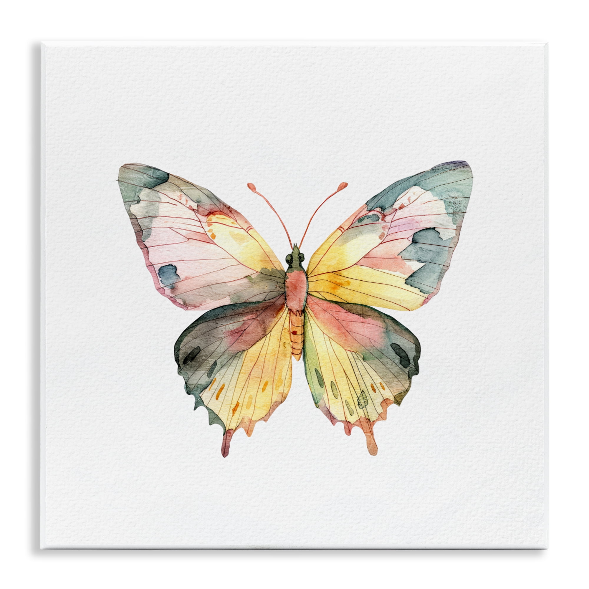 Stupell Industries Watercolor Butterfly Subtlety Wall Plaque Art, design by Kim Allen