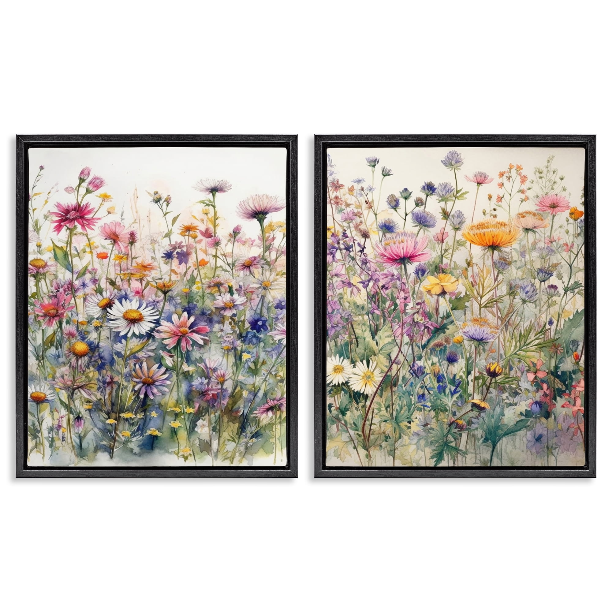 Stupell Industries Watercolor Daisy & Aster Field Plants & Flowers Painting Black Floater Framed Canvas Art Print Wall Art, 31 x 25, Set of 2