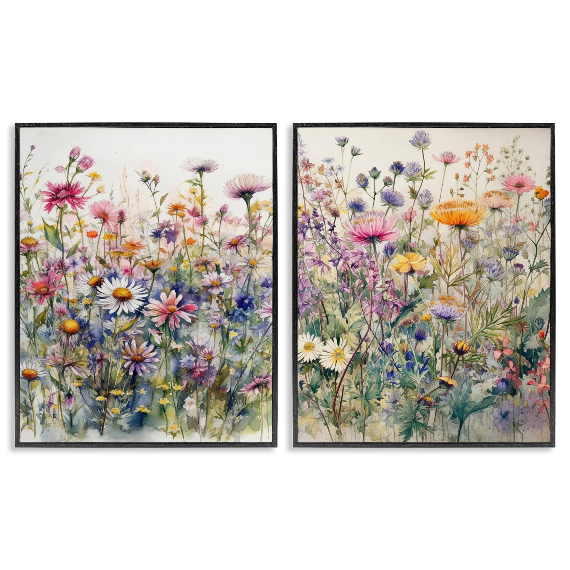 Stupell Industries Watercolor Daisy & Aster Field Plants & Flowers Painting Black Framed Art Print Wall Art, 11 x 14, Set of 2