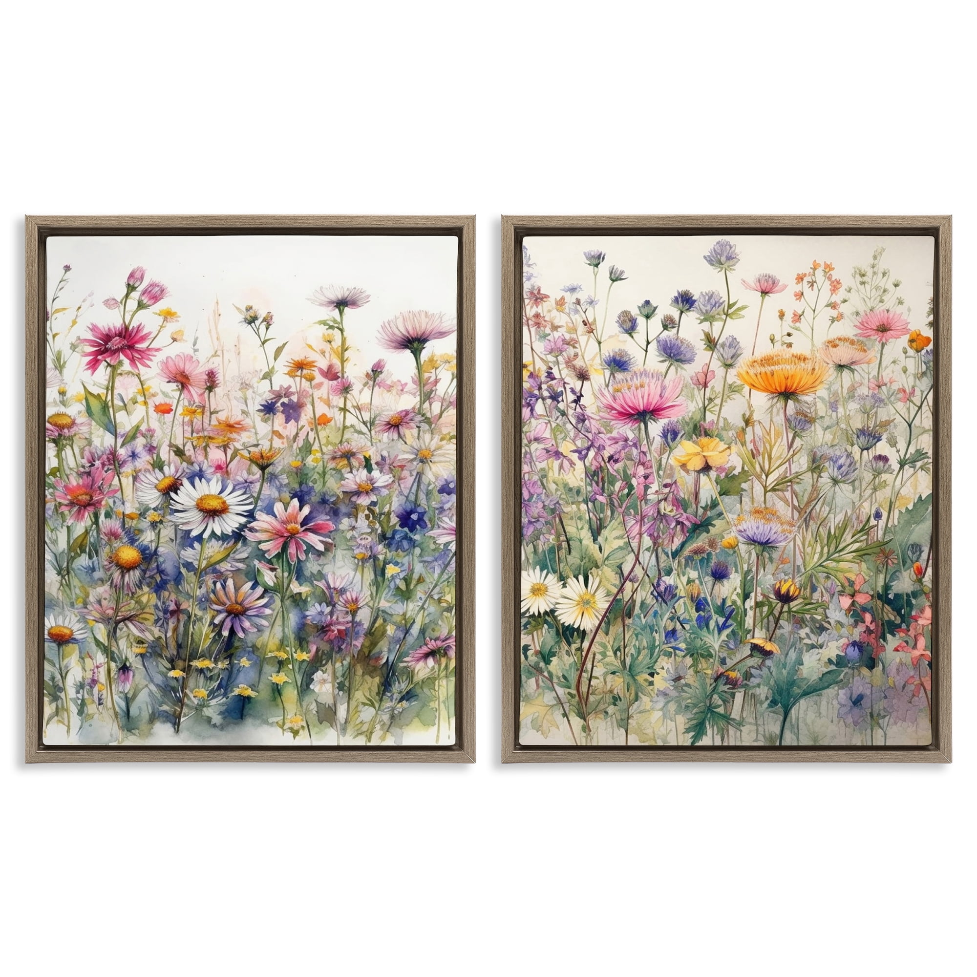 Stupell Industries Watercolor Daisy & Aster Field Plants & Flowers Painting Brown Floater Framed Canvas Art Print Wall Art, 17 x 21, Set of 2