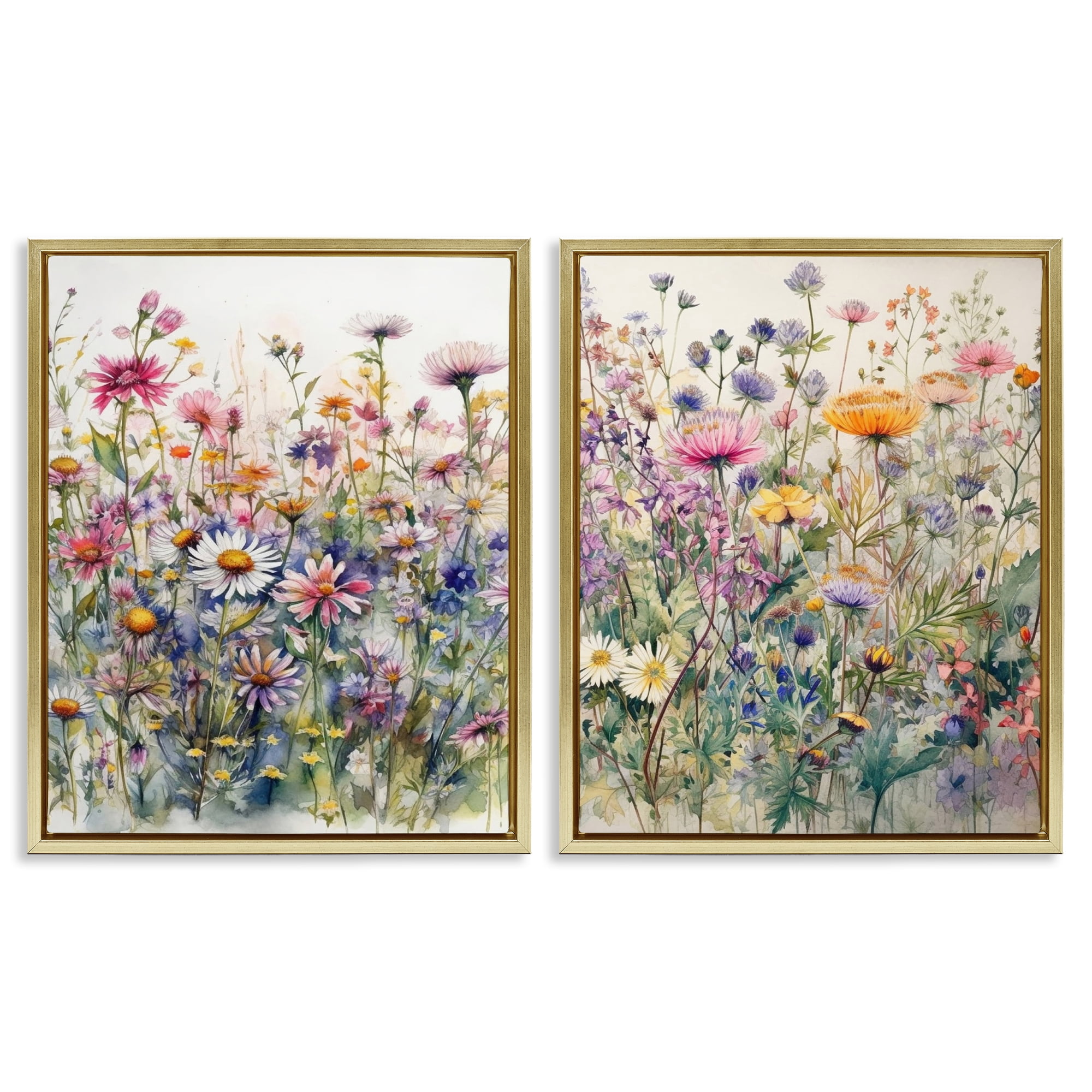 Stupell Industries Watercolor Daisy & Aster Field Plants & Flowers Painting Gold Floater Framed Canvas Art Print Wall Art, 31 x 25, Set of 2