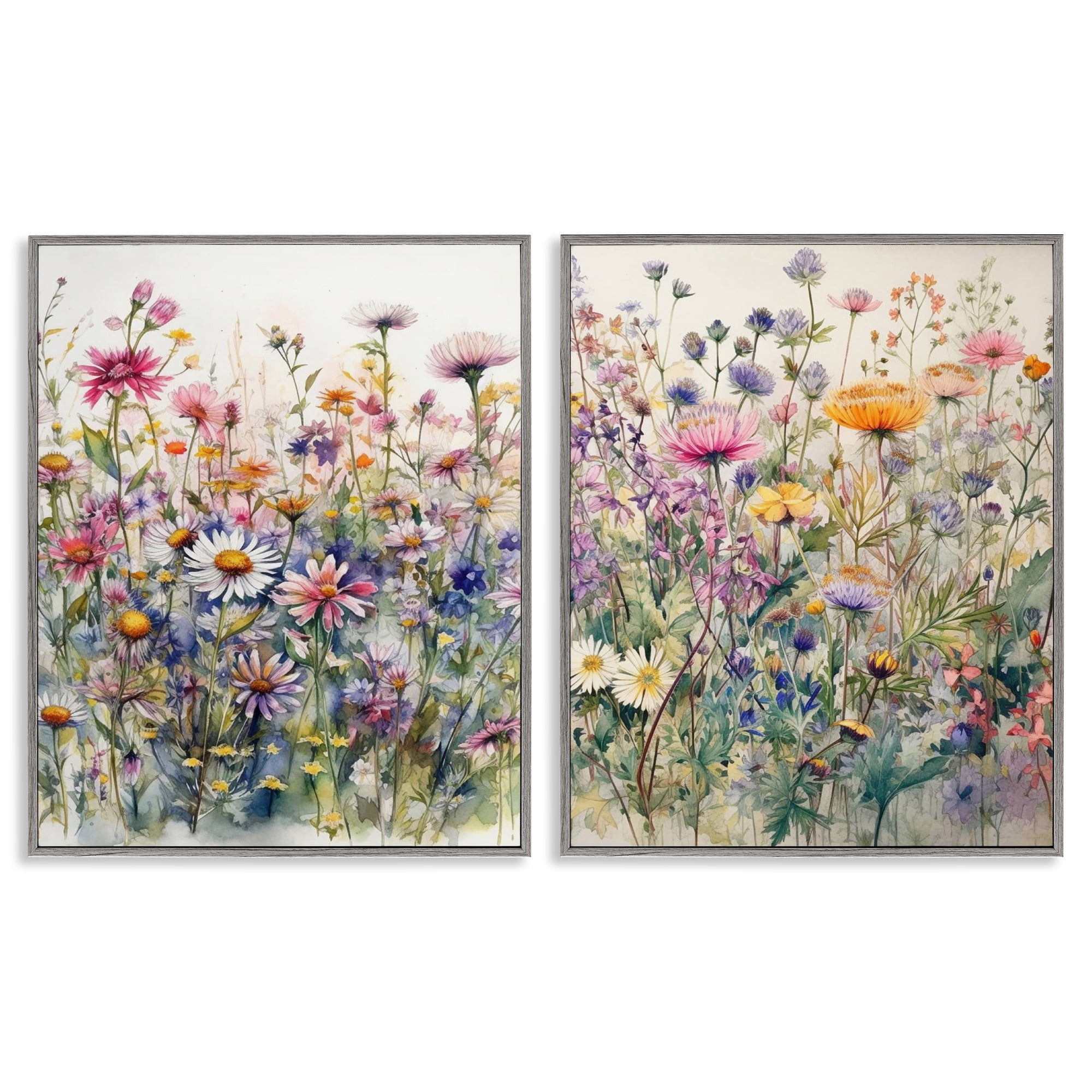 Stupell Industries Watercolor Daisy & Aster Field Plants & Flowers Painting Gray Framed Art Print Wall Art, 16 x 20, Set of 2