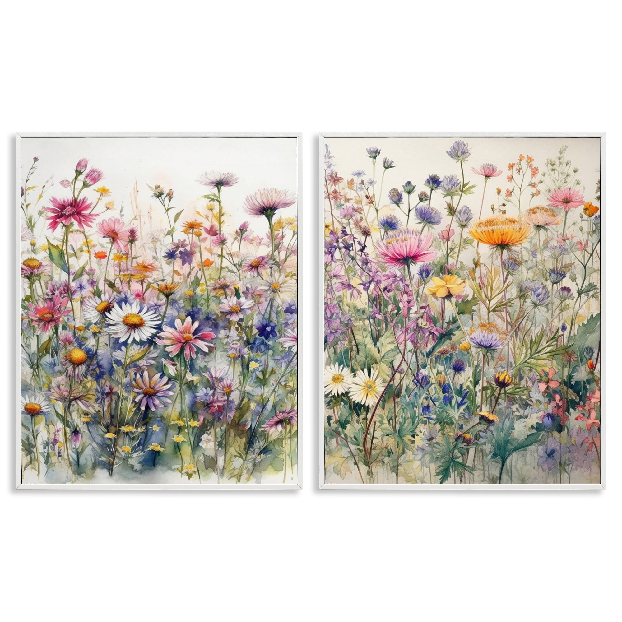 Stupell Industries Watercolor Daisy & Aster Field Plants & Flowers Painting White Framed Art Print Wall Art, 16 x 20, Set of 2