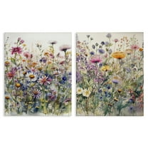 Stupell Industries Watercolor Daisy & Aster Field Plants & Flowers Painting Wrapped Canvas Art Print Wall Art, 16 x 20, Set of 2