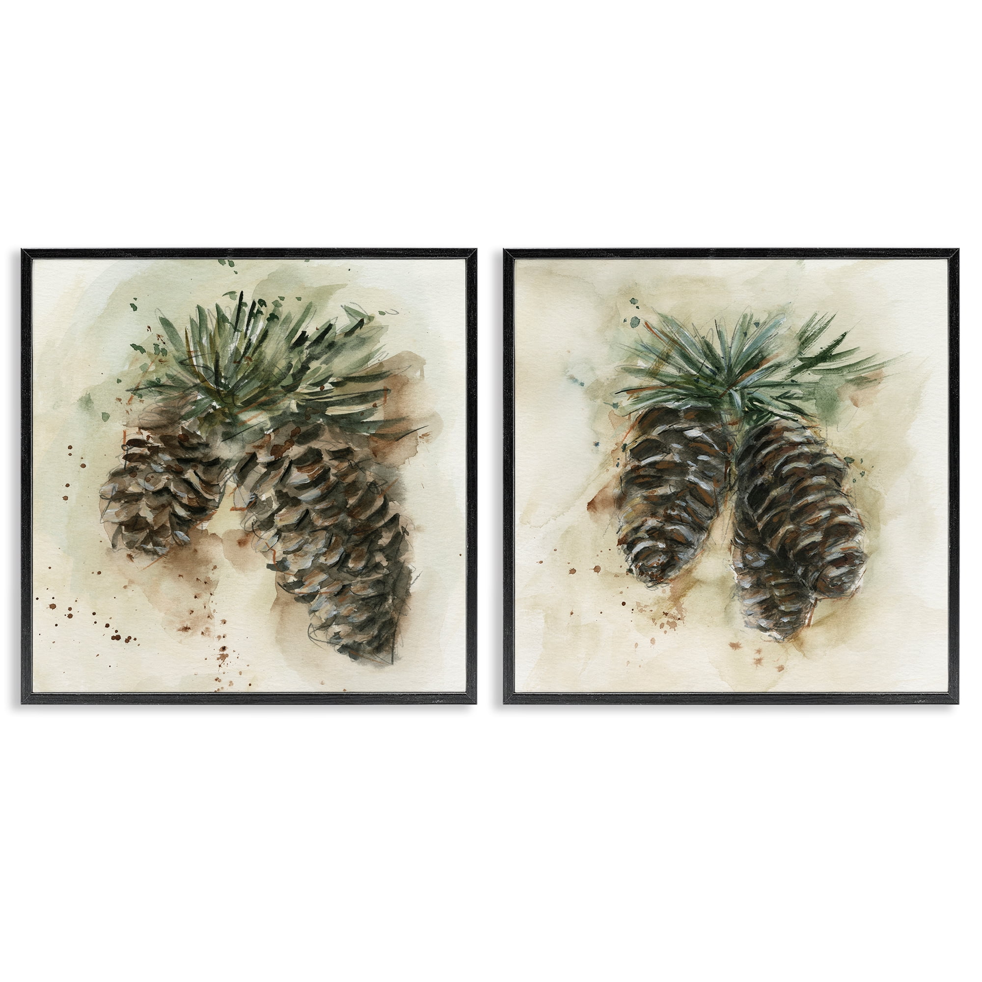 Stupell Industries Watercolor Drawing Pine Cones Plants & Flowers Painting Black Framed Art Print Wall Art, 24 x 24, Set of 2