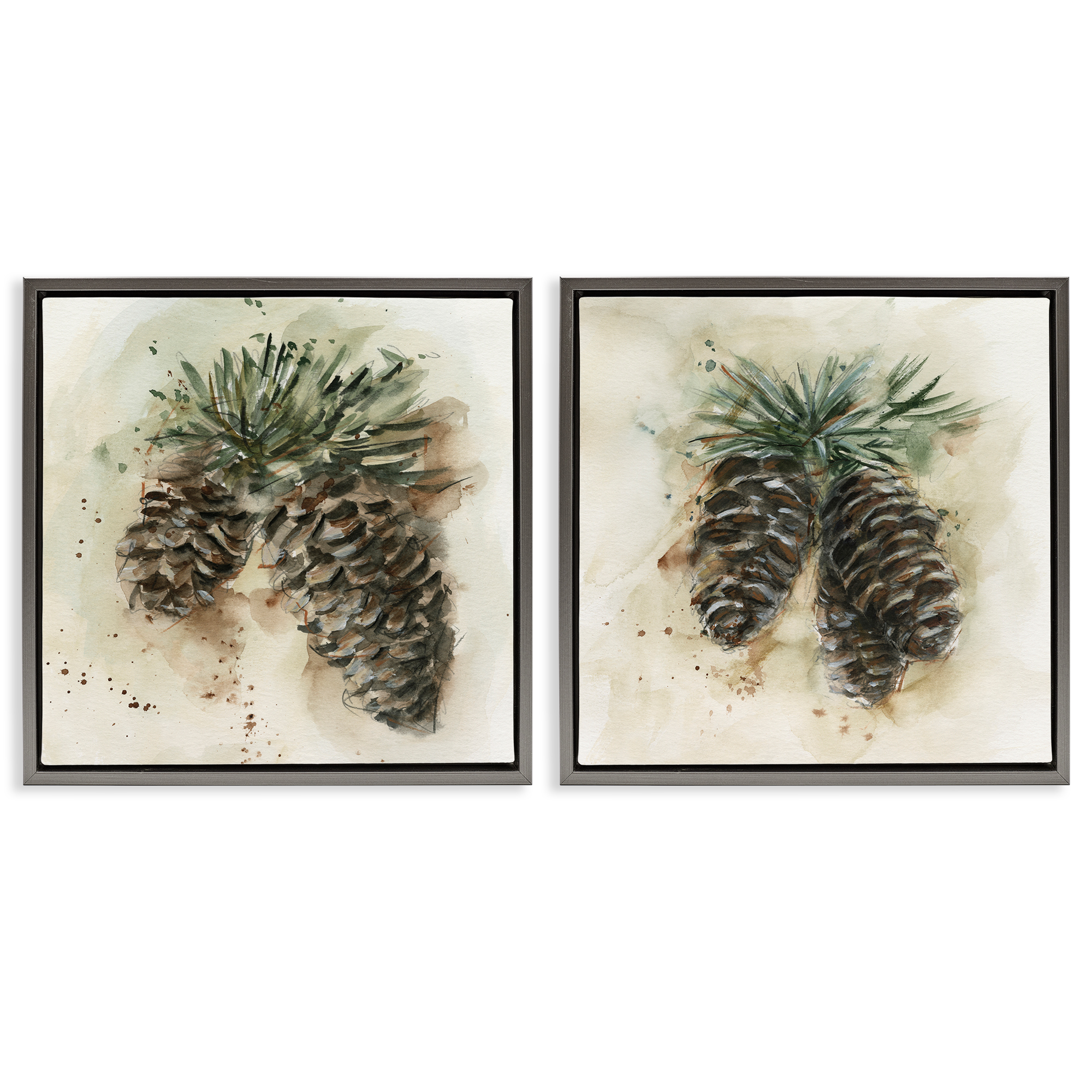 Stupell Industries Watercolor Drawing Pine Cones Plants & Flowers Painting Gray Floater Framed Canvas Art Print Wall Art, 18 x 18, Set of 2