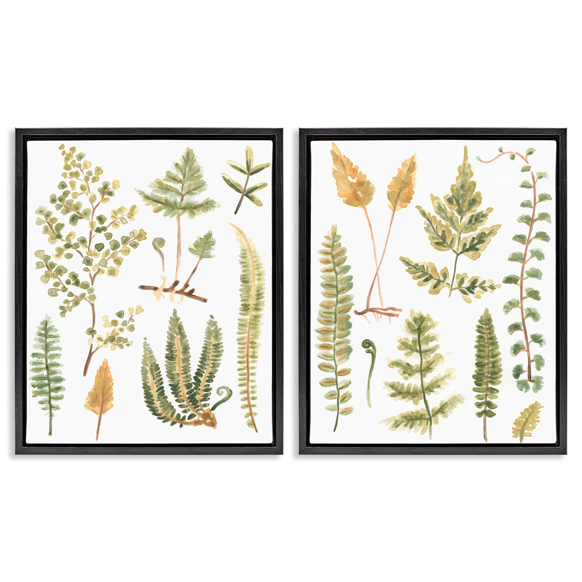 Stupell Industries Watercolor Fern Leaves Plants & Flowers Painting Black Floater Framed Canvas Art Print Wall Art, 31 x 25, Set of 2