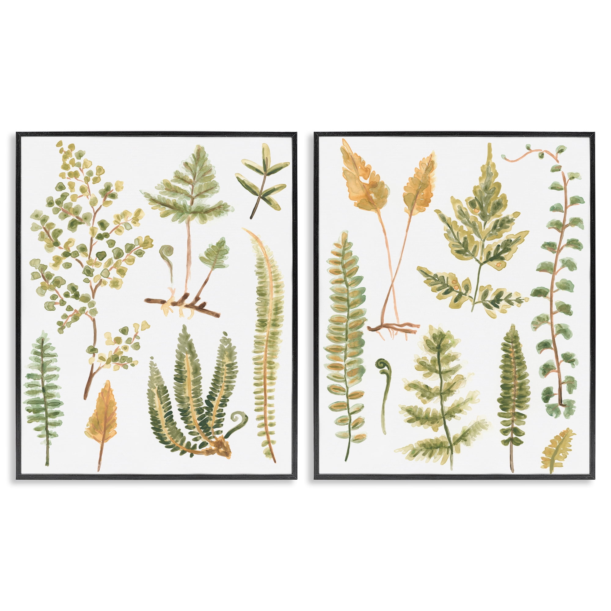 Stupell Industries Watercolor Fern Leaves Plants & Flowers Painting Black Framed Art Print Wall Art, 11 x 14, Set of 2