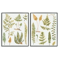 Stupell Industries Watercolor Fern Leaves Plants & Flowers Painting Black Framed Art Print Wall Art, 11 x 14, Set of 2