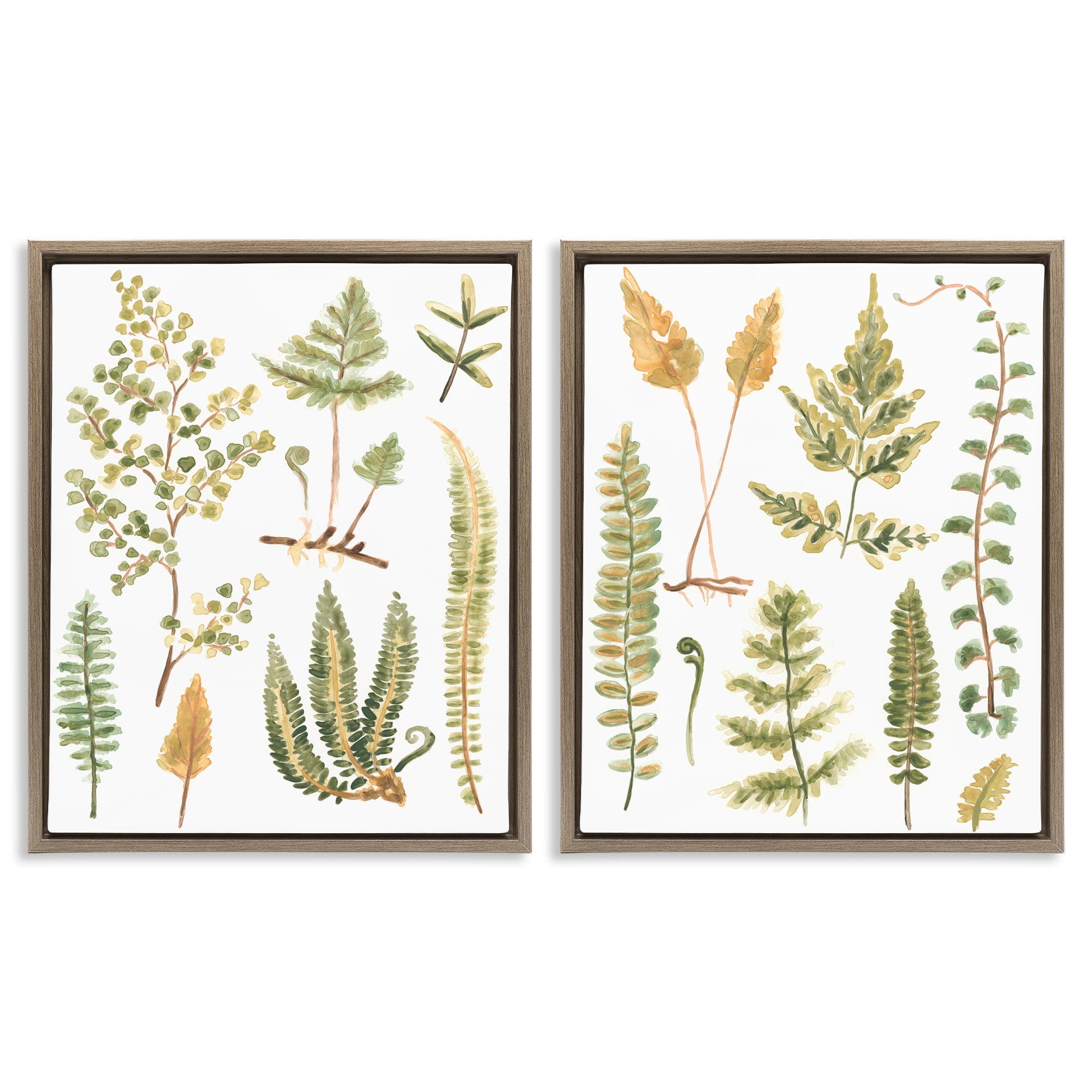 Stupell Industries Watercolor Fern Leaves Plants & Flowers Painting Brown Floater Framed Canvas Art Print Wall Art, 31 x 25, Set of 2