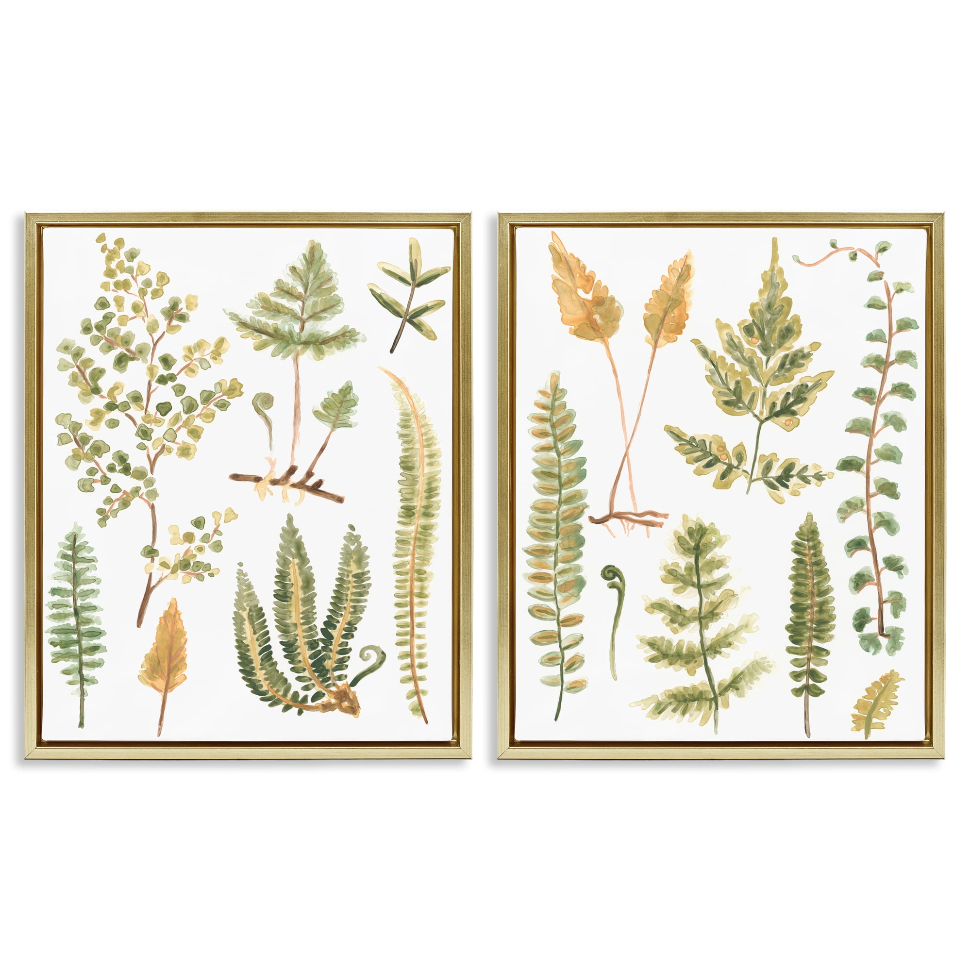 Stupell Industries Watercolor Fern Leaves Plants & Flowers Painting Gold Floater Framed Canvas Art Print Wall Art, 17 x 21, Set of 2