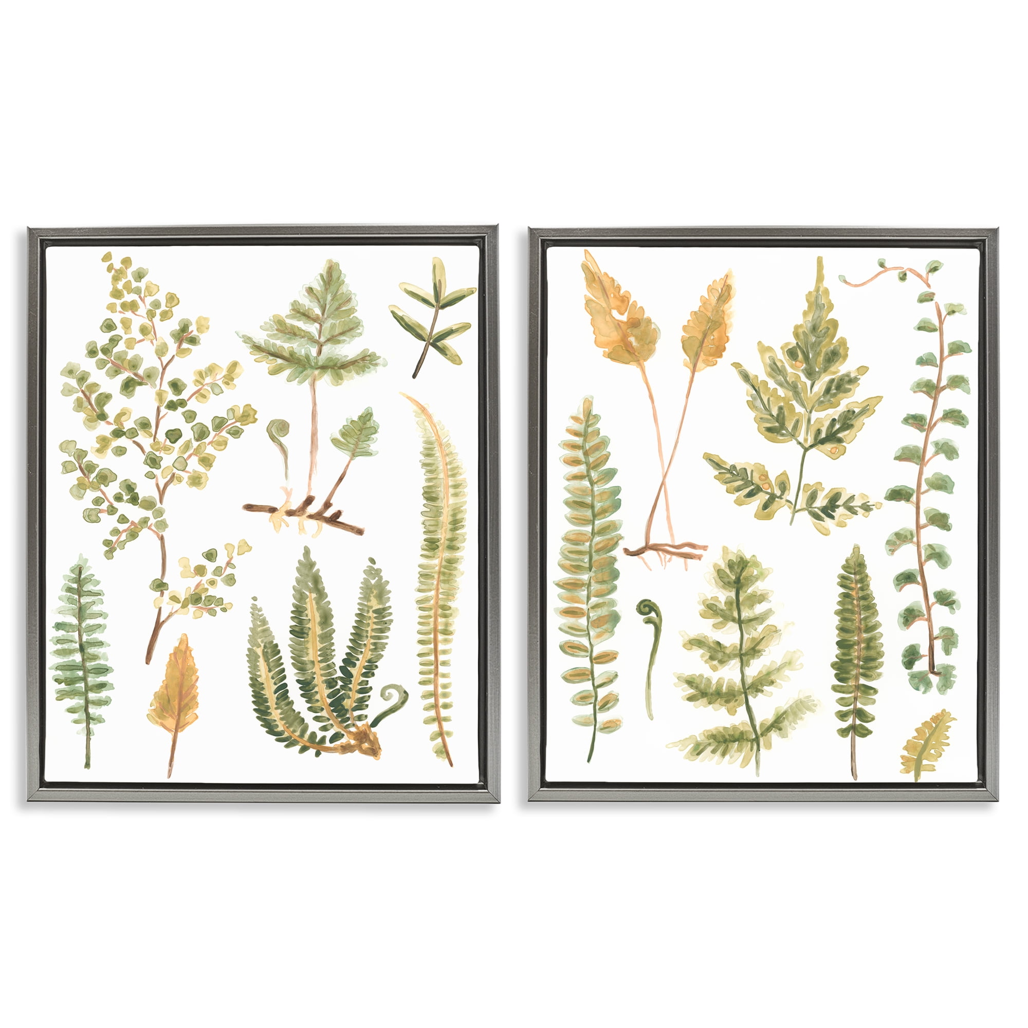 Stupell Industries Watercolor Fern Leaves Plants & Flowers Painting Gray Floater Framed Canvas Art Print Wall Art, 31 x 25, Set of 2