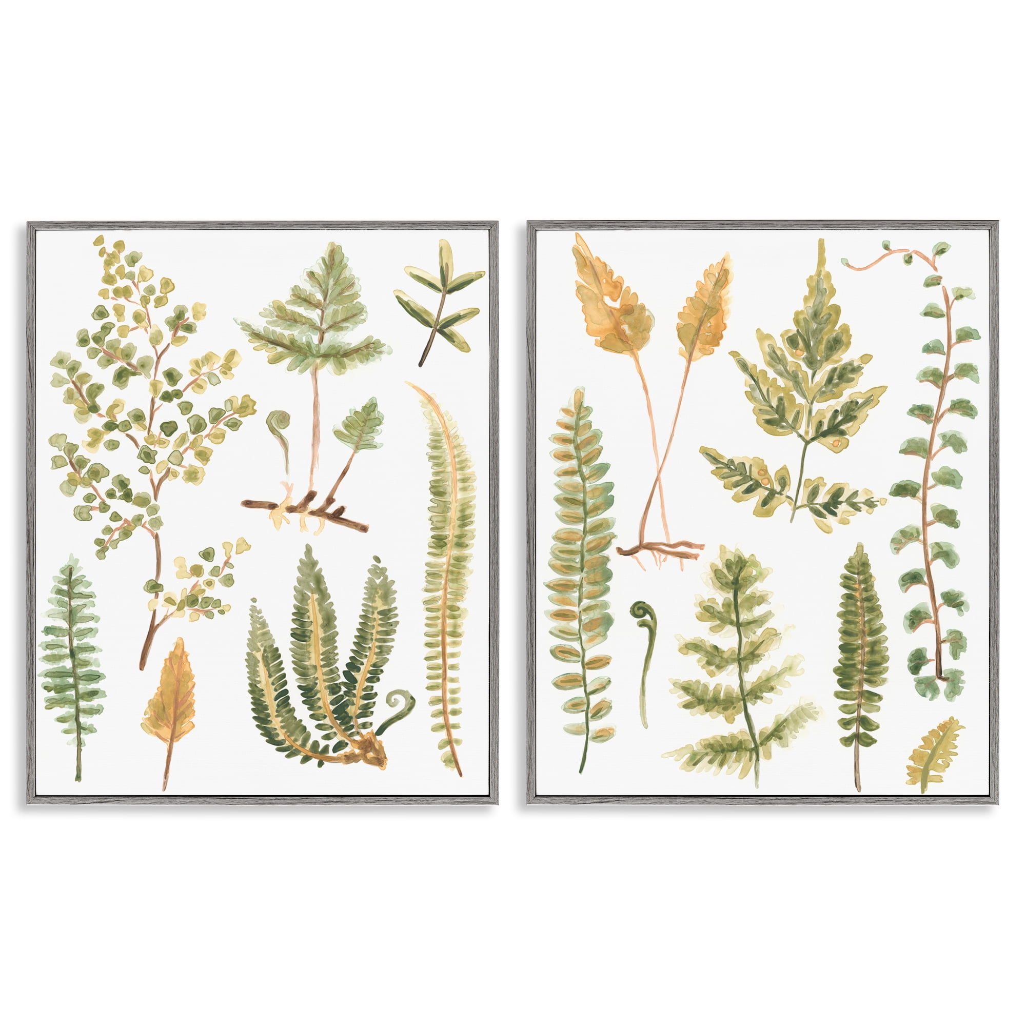 Stupell Industries Watercolor Fern Leaves Plants & Flowers Painting Gray Framed Art Print Wall Art, 24 x 30, Set of 2