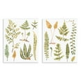 thumbnail image 1 of Stupell Industries Watercolor Fern Leaves Plants & Flowers Painting Unframed Art Print Wall Art, 11 x 14, Set of 2, 1 of 8