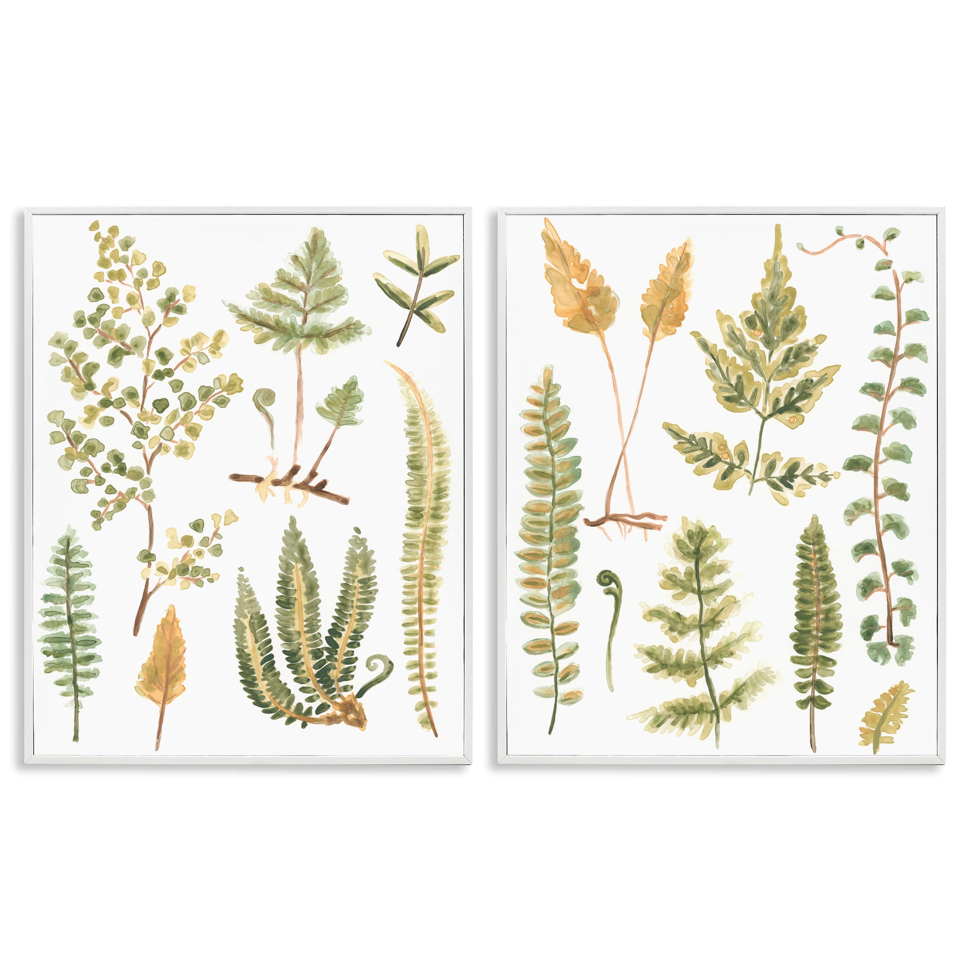 Stupell Industries Watercolor Fern Leaves Plants & Flowers Painting White Framed Art Print Wall Art, 24 x 30, Set of 2
