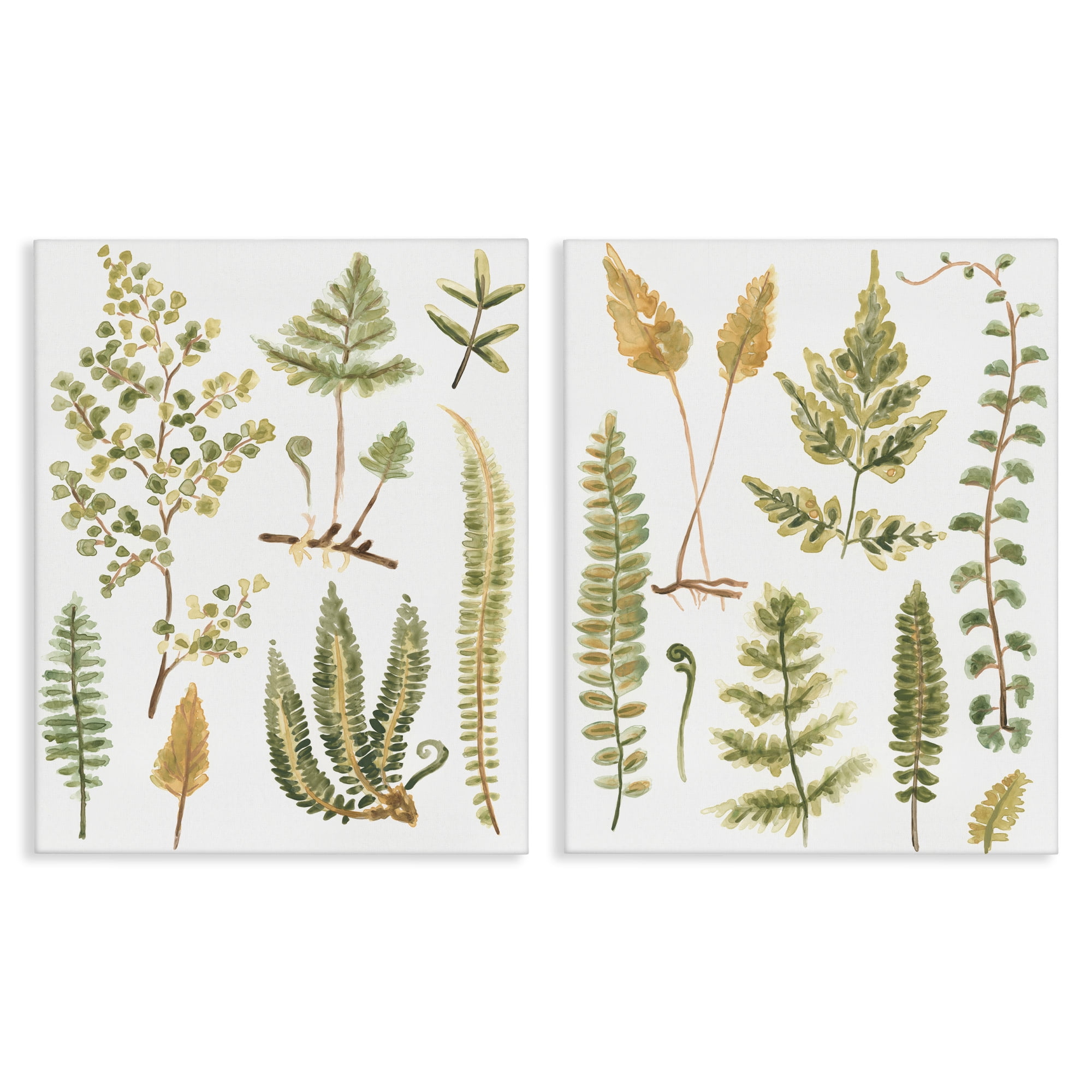 Stupell Industries Watercolor Fern Leaves Plants & Flowers Painting Wrapped Canvas Art Print Wall Art, 24 x 30, Set of 2