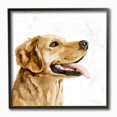 thumbnail image 1 of Stupell Industries Watercolor Labrador Portrait Dog House Pet Framed Wall Art Design by Victoria Barnes, 12" x 12", Black Framed, 1 of 1