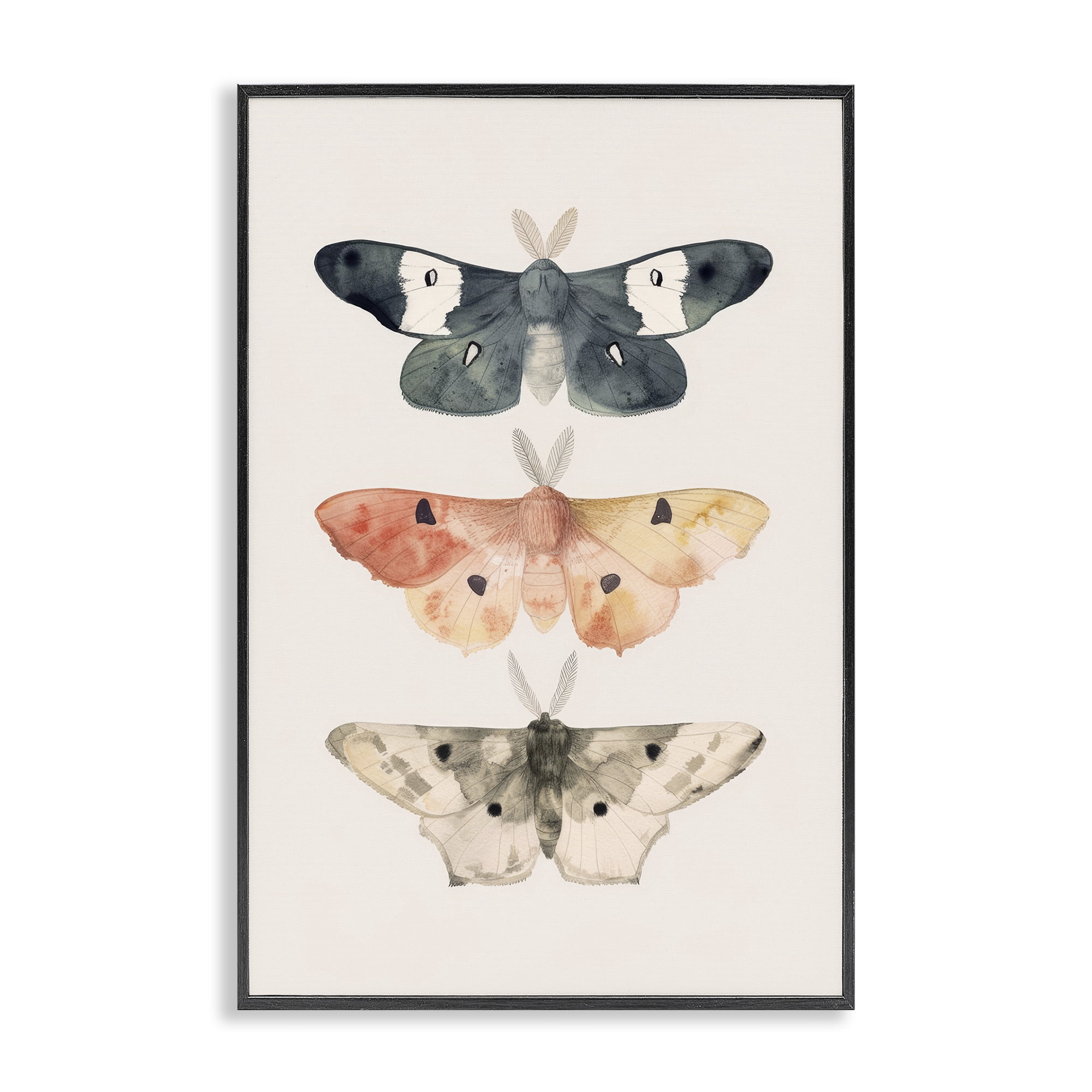 Stupell Industries Watercolor Moth Trio Animals Painting Black Framed Art Print Wall Art, 12 x 18