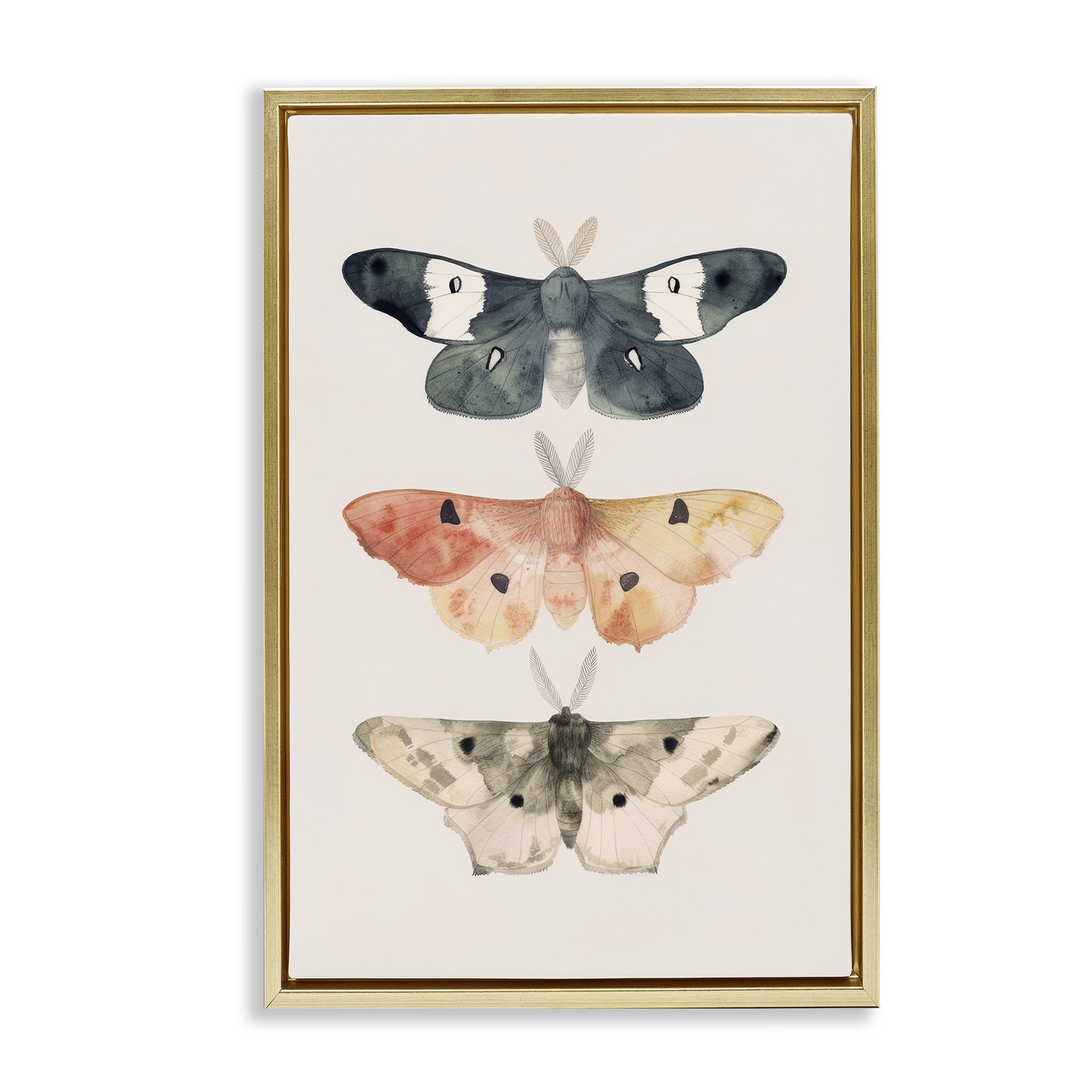Stupell Industries Watercolor Moth Trio Animals Painting Gold Floater Framed Canvas Art Print Wall Art, 21 x 31