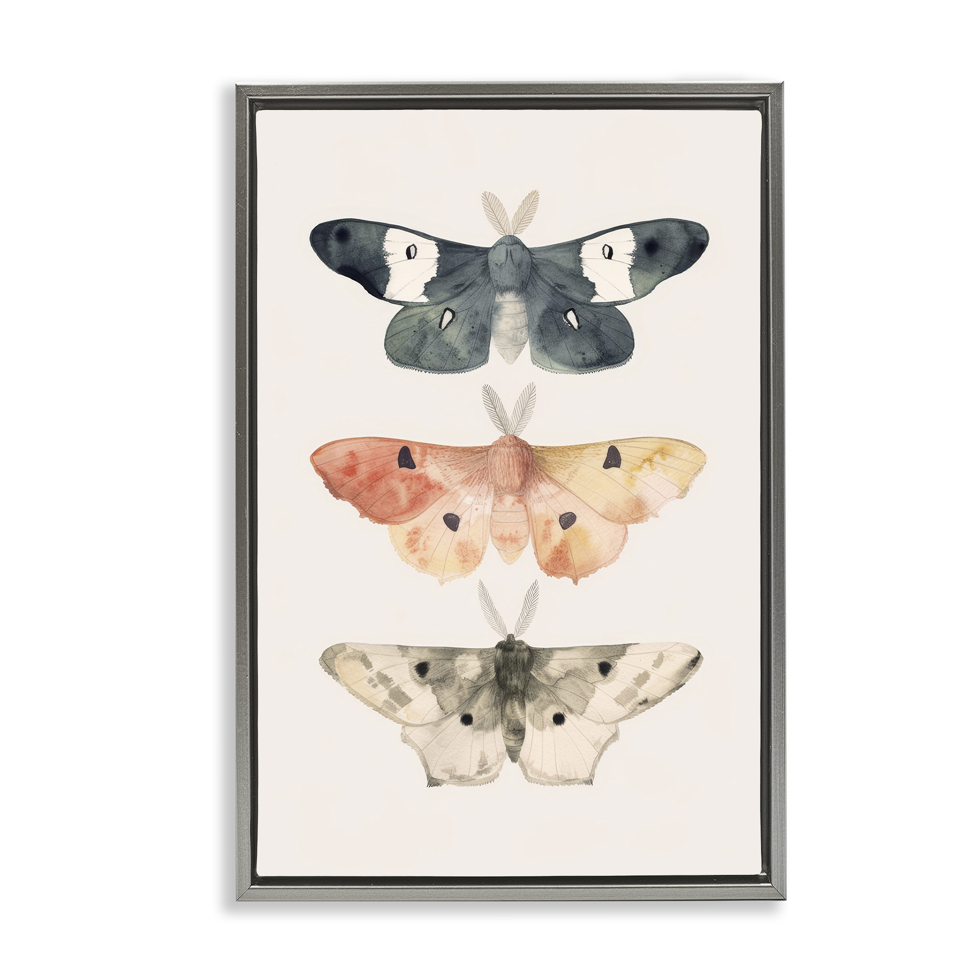 Stupell Industries Watercolor Moth Trio Animals Painting Gray Floater Framed Canvas Art Print Wall Art, 21 x 31