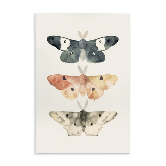 Stupell Industries Watercolor Moth Trio Animals Painting Unframed Art Print Wall Art, 10 x 15