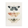 thumbnail image 1 of Stupell Industries Watercolor Moth Trio Animals Painting Unframed Art Print Wall Art, 13 x 19, 1 of 8