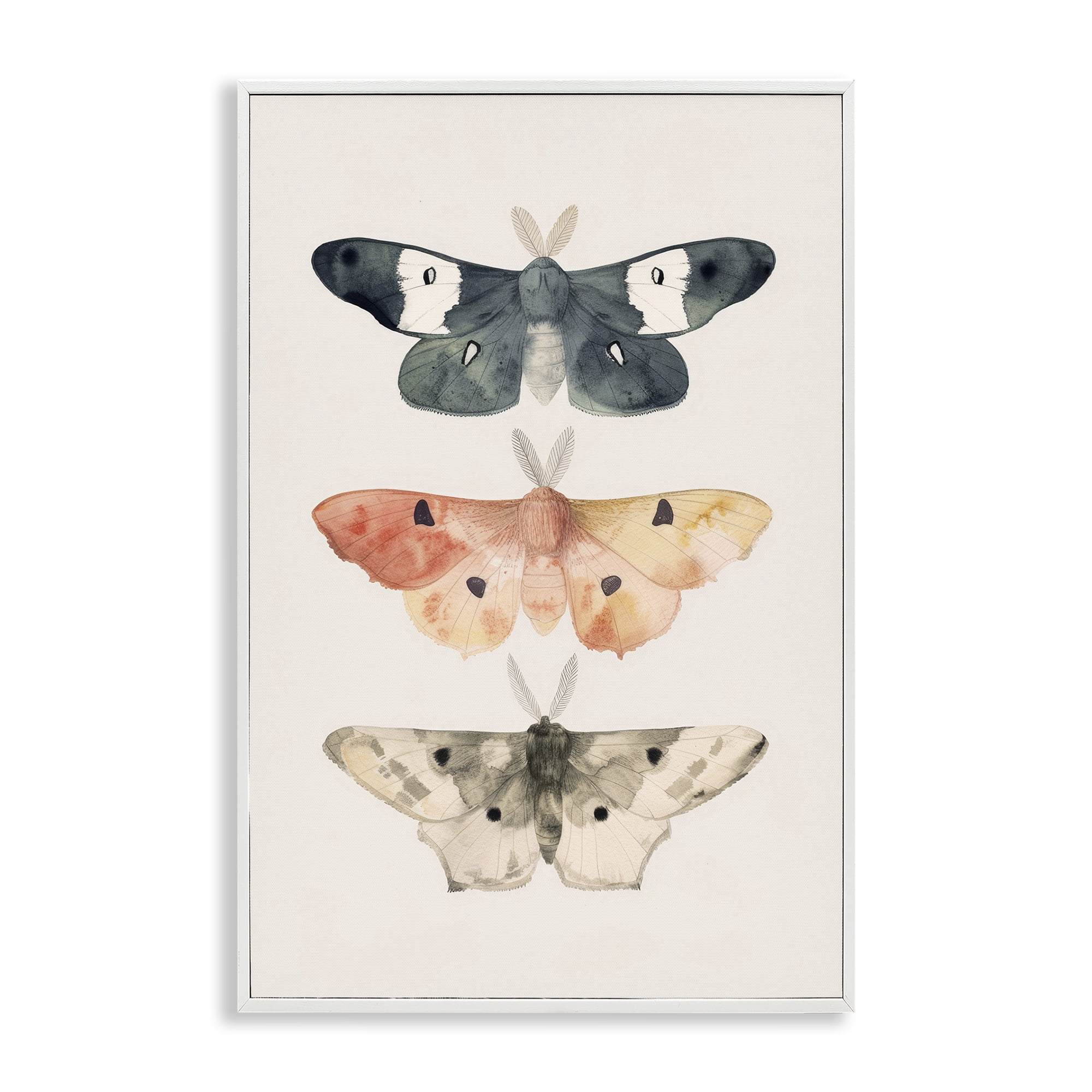 Stupell Industries Watercolor Moth Trio Animals Painting White Framed Art Print Wall Art, 12 x 18