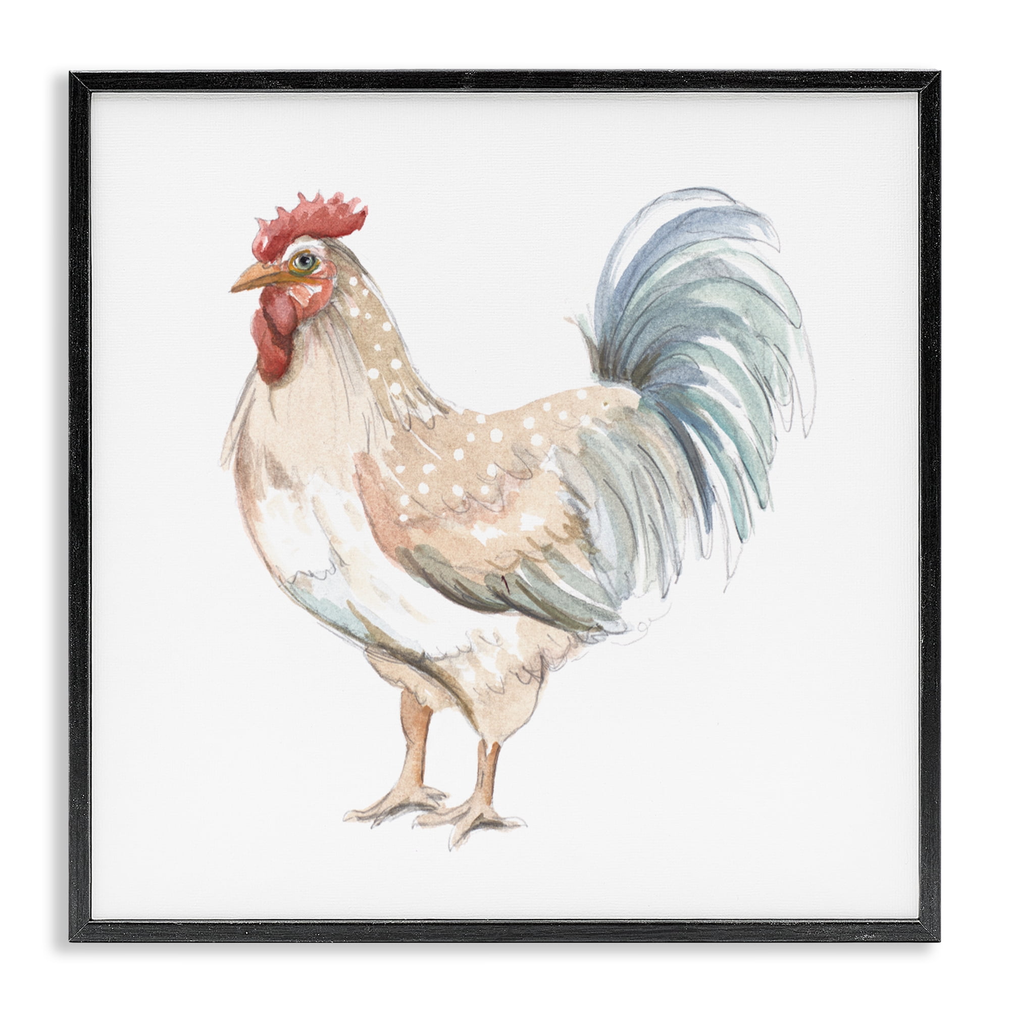 Stupell Industries Watercolor Rooster Sketch Black Framed Giclee Art, design by Patricia Pinto